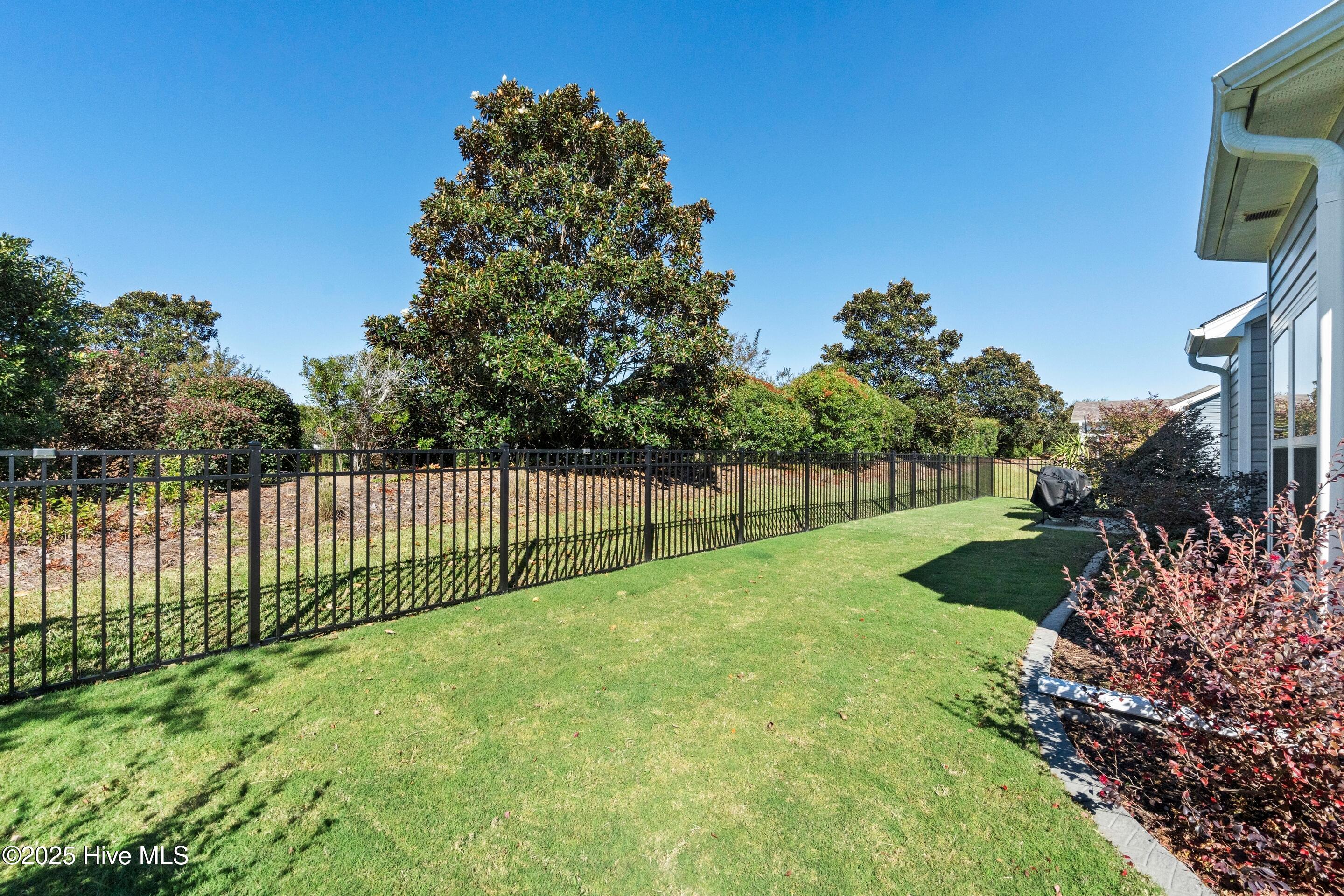 100537197 | Photo 44