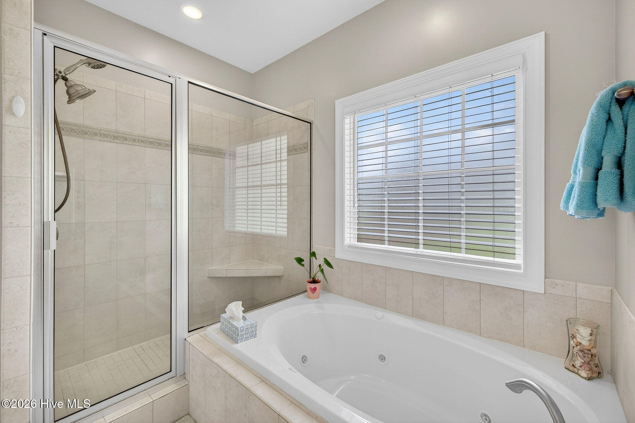 100557574 | Photo 28