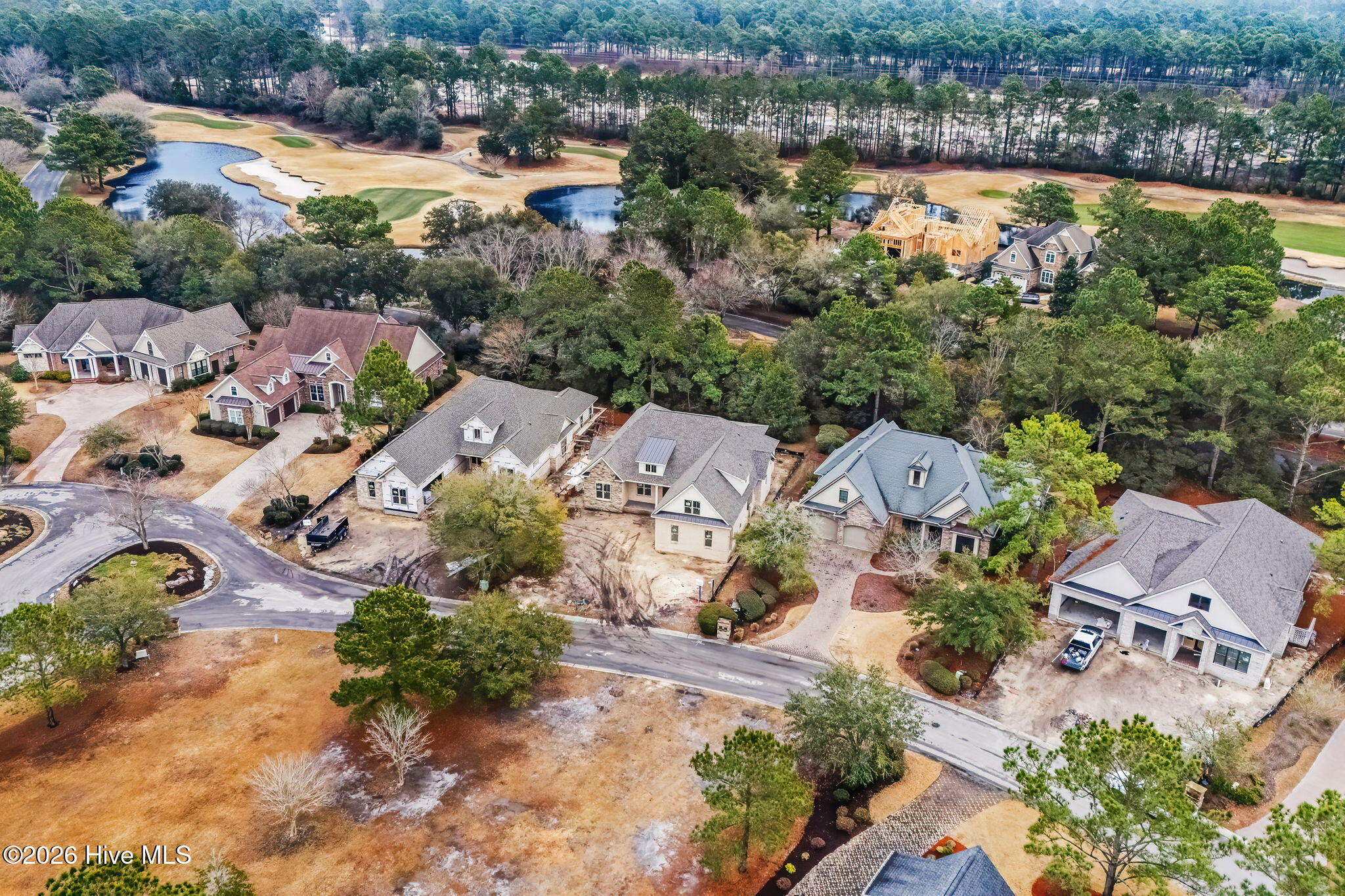 100553450 | Photo 50