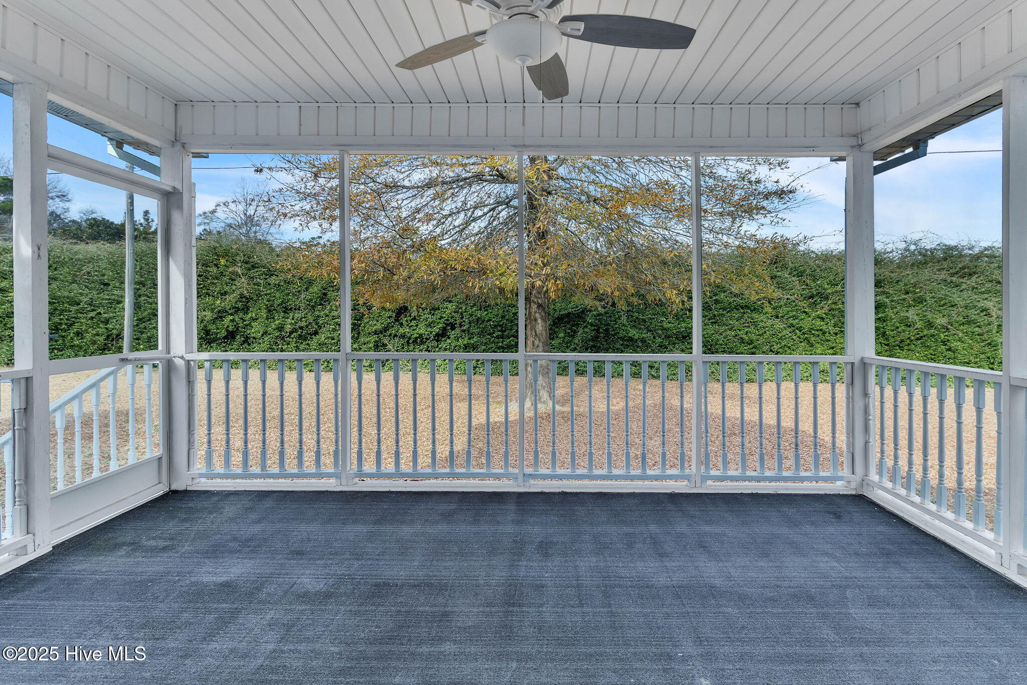 100546241 | Photo 30