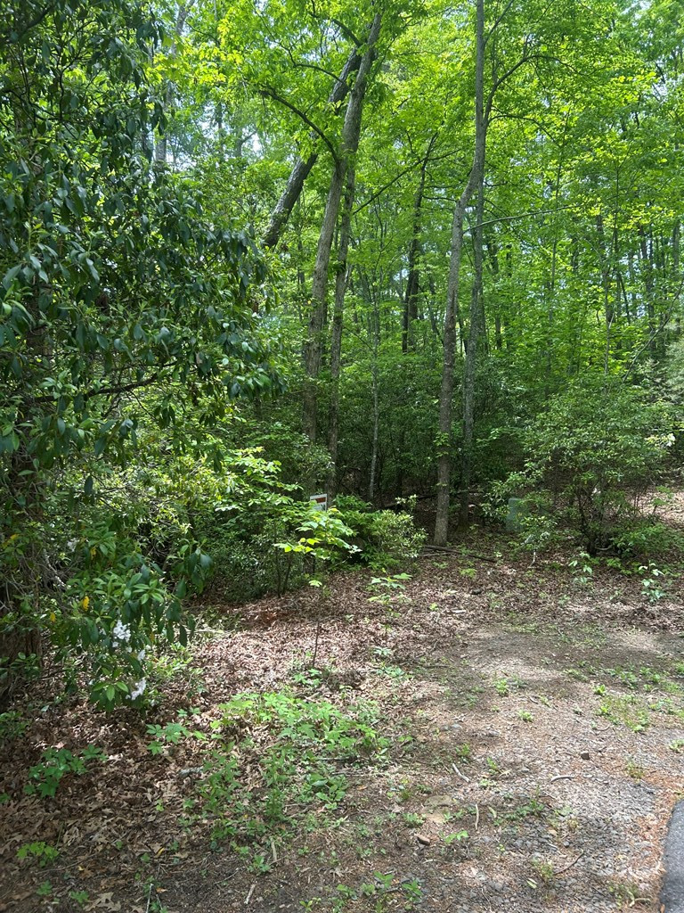 Exterior photo of 00 Sierra Springs, Murphy, NC 28906. MLS: 98544457