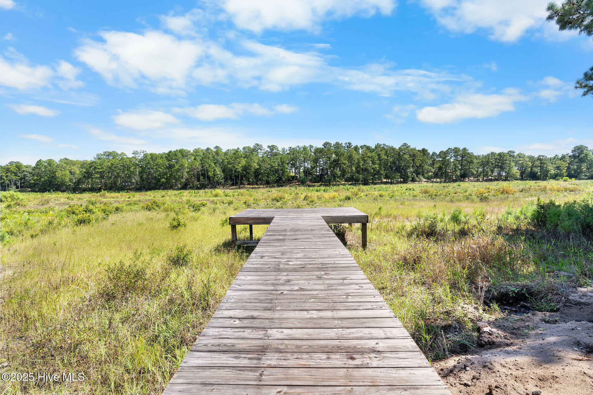 100526729 | Photo 85