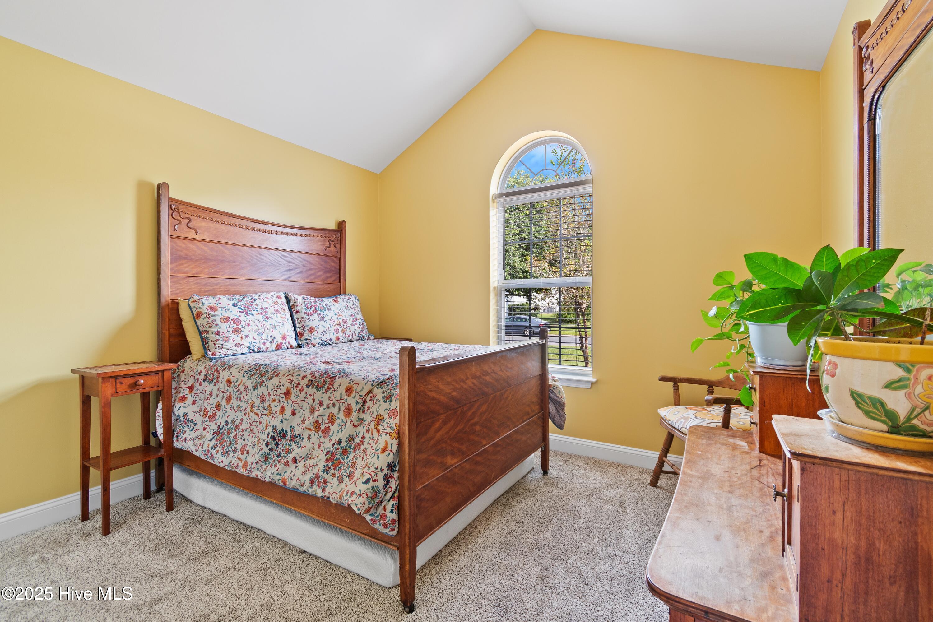 100526864 | Photo 26