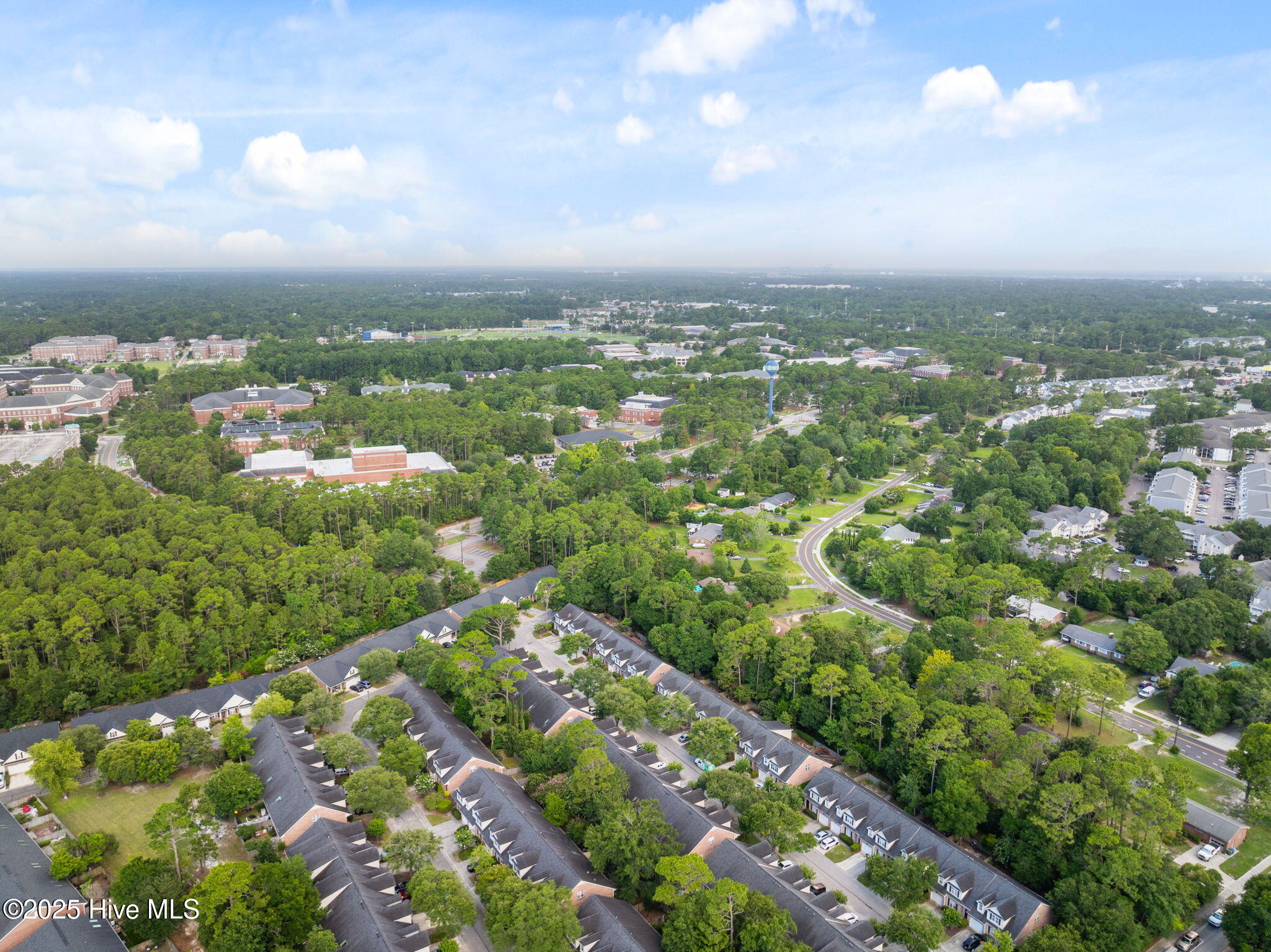 100520913 | Photo 11