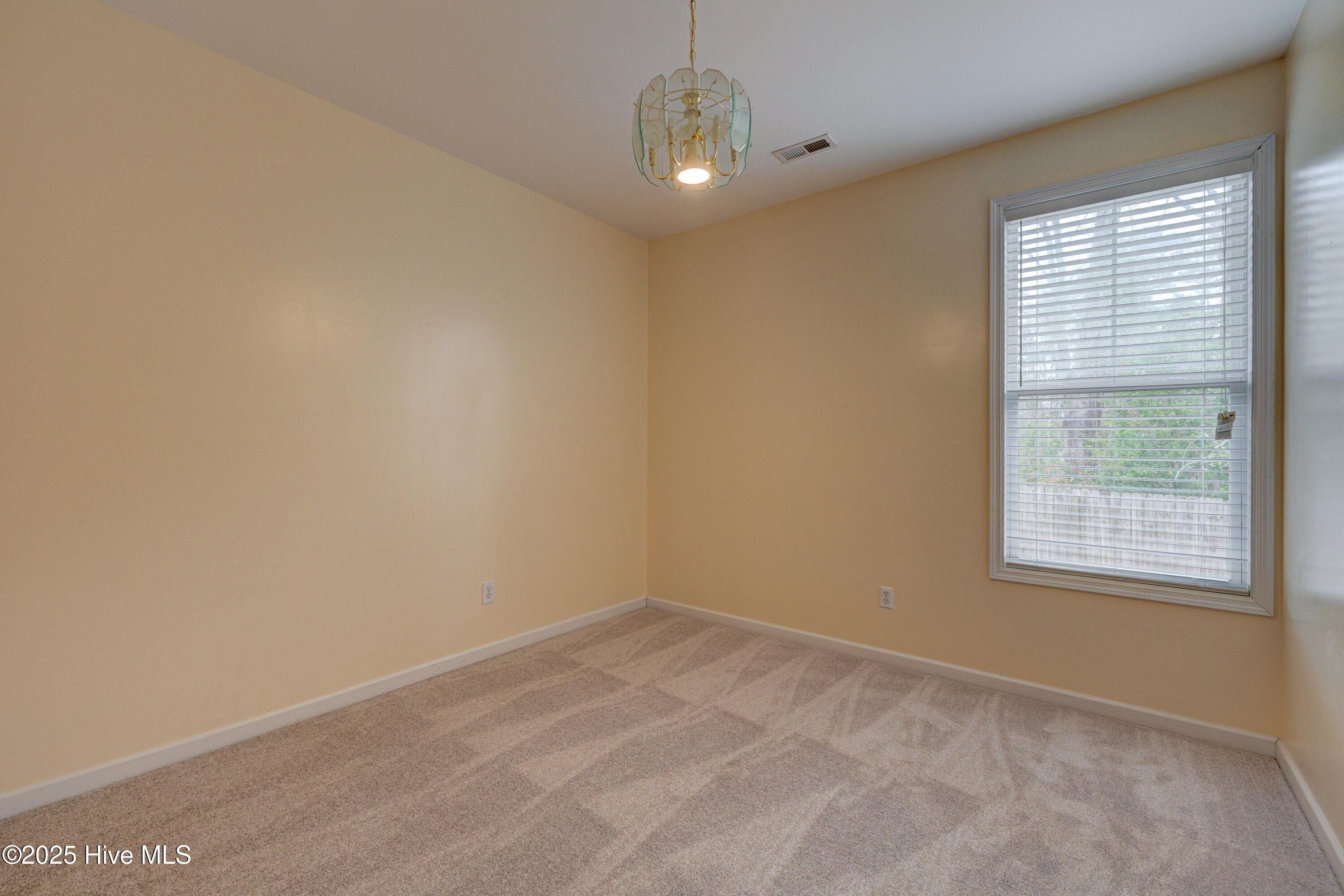 100567559 | Photo 25