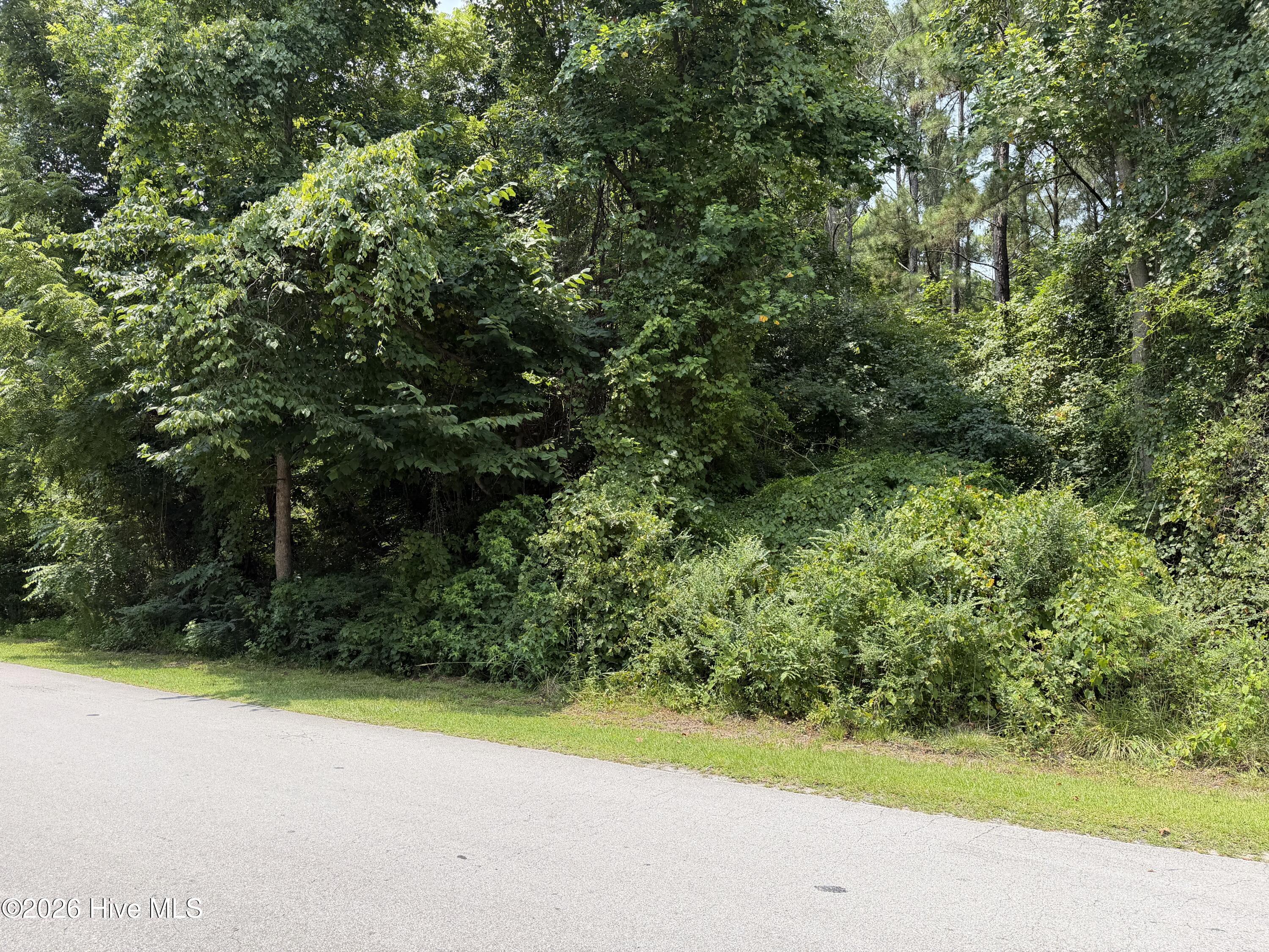 100590906 | Photo 5