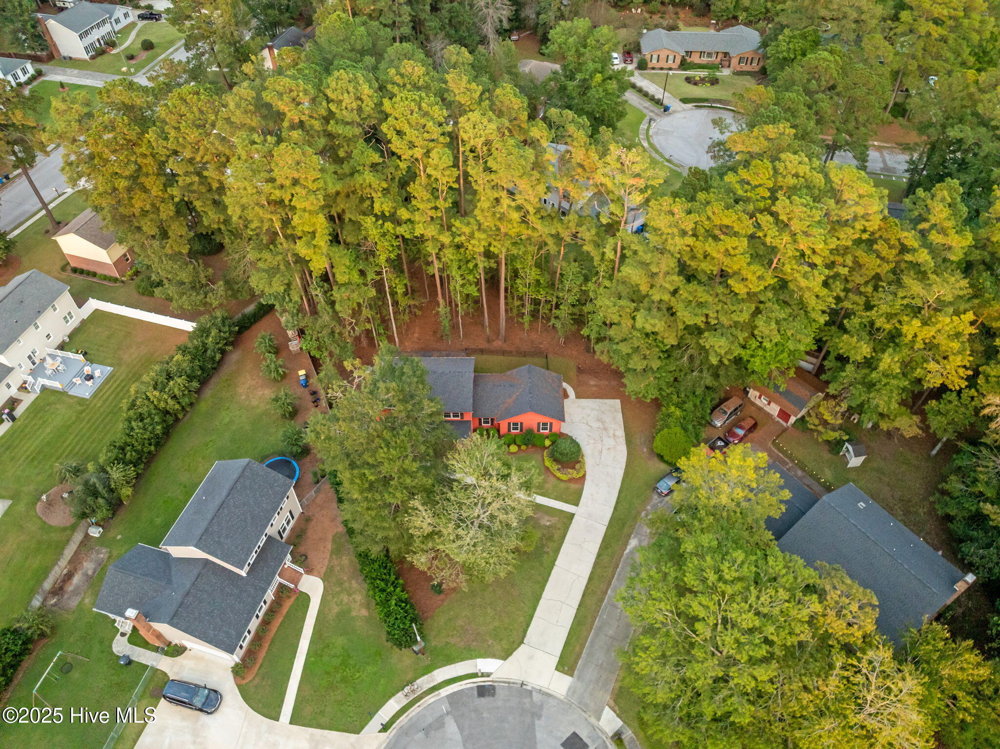 100506266 | Photo 13