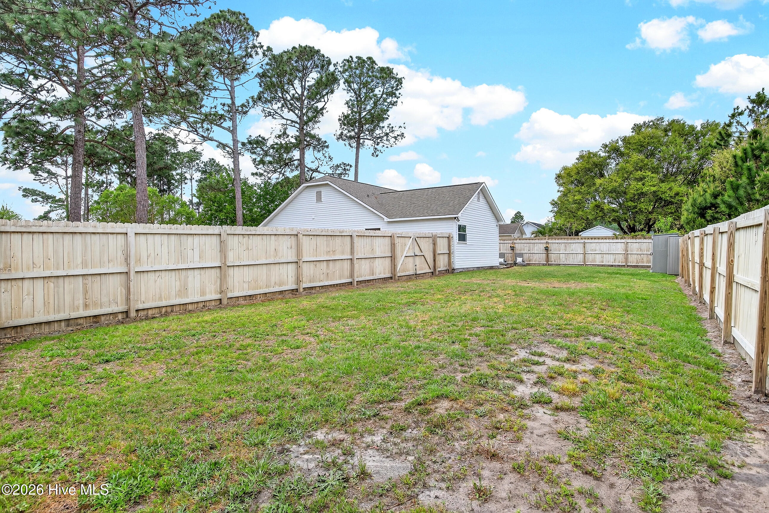 100566396 | Photo 29