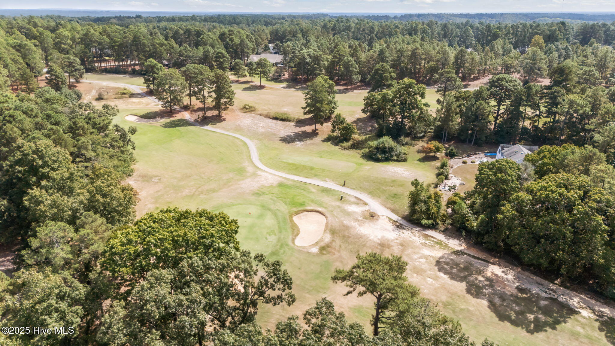 aerial golf view