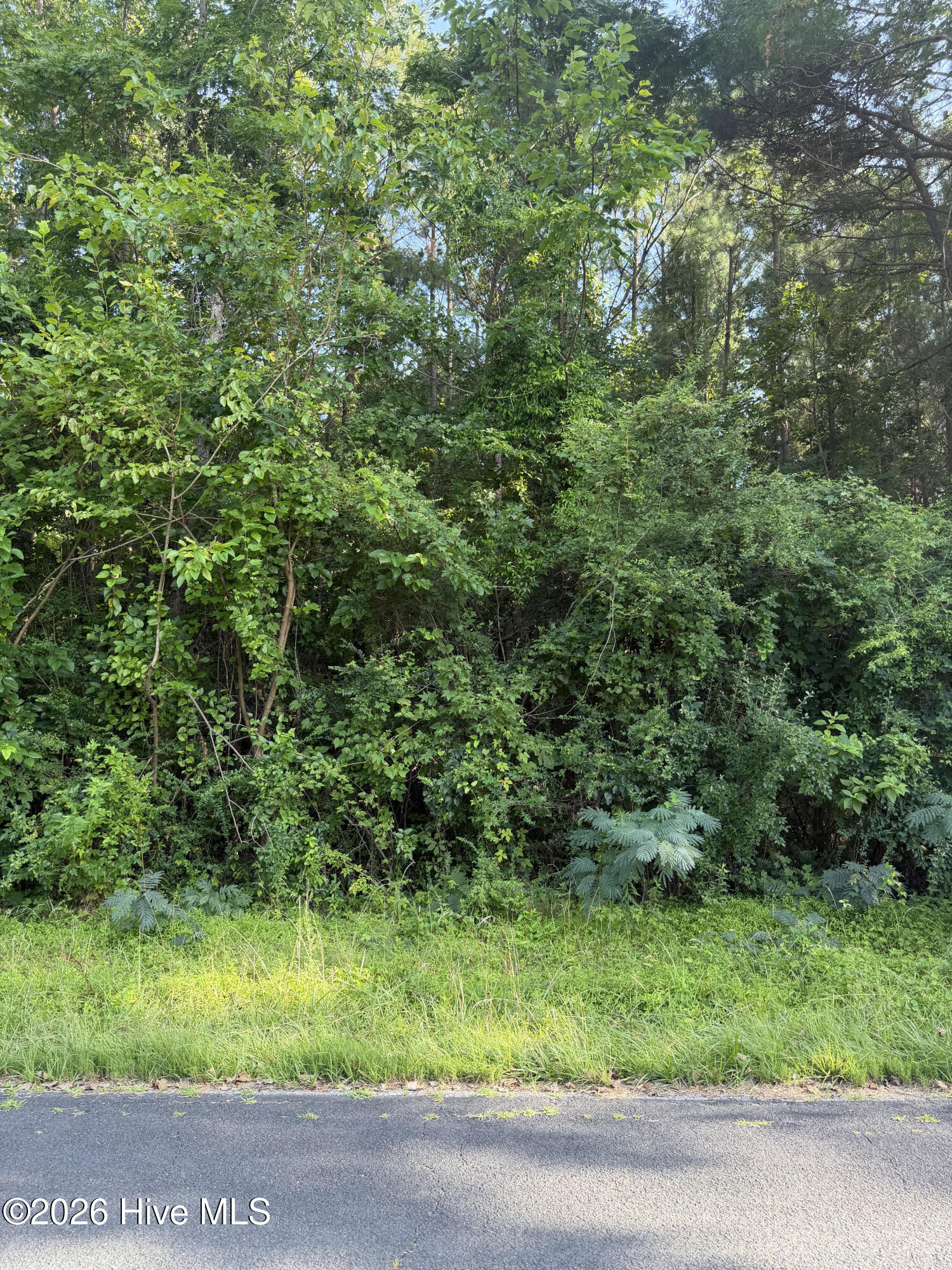 1199 8 Green Springs Road,New Bern