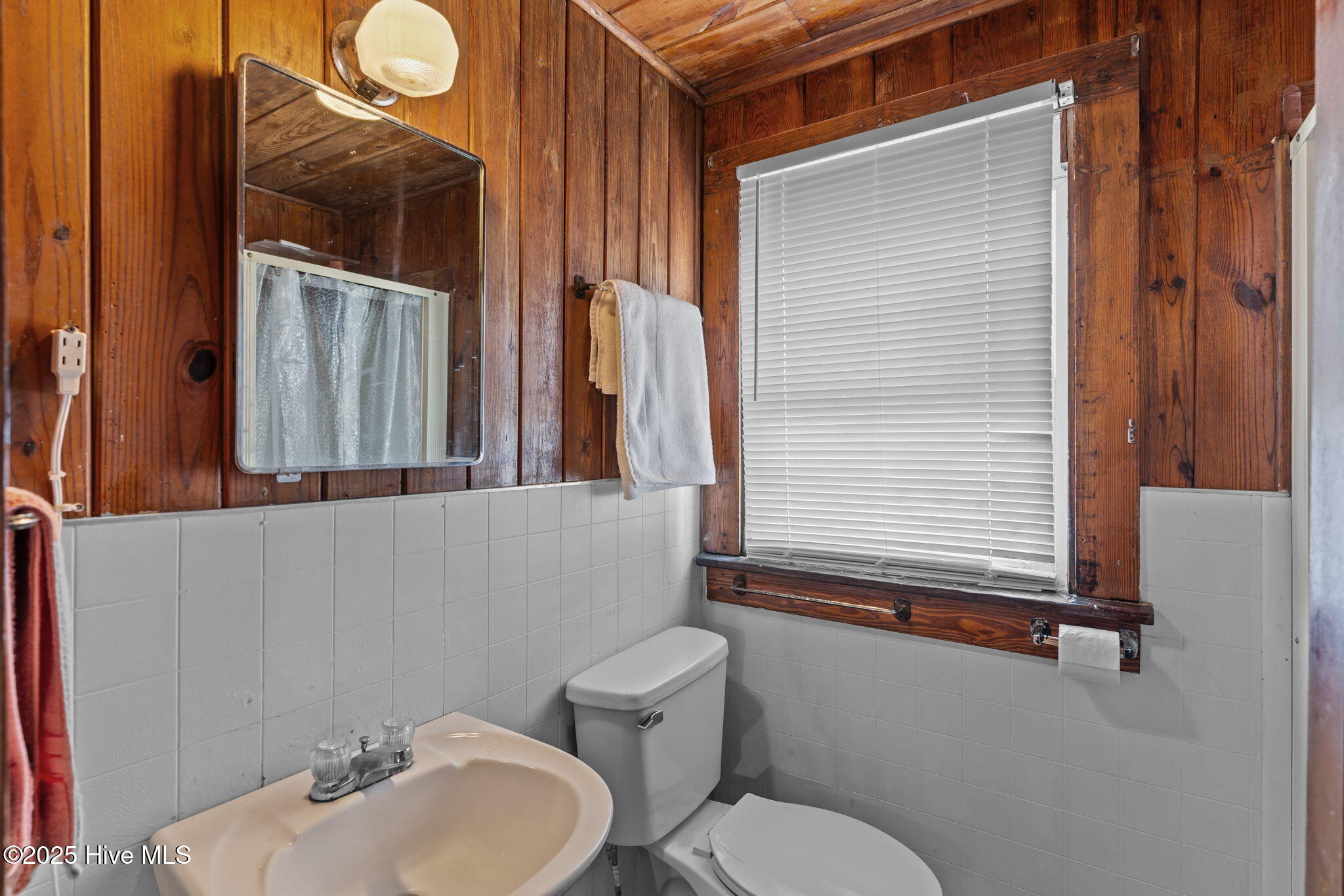 100539886 | Photo 27