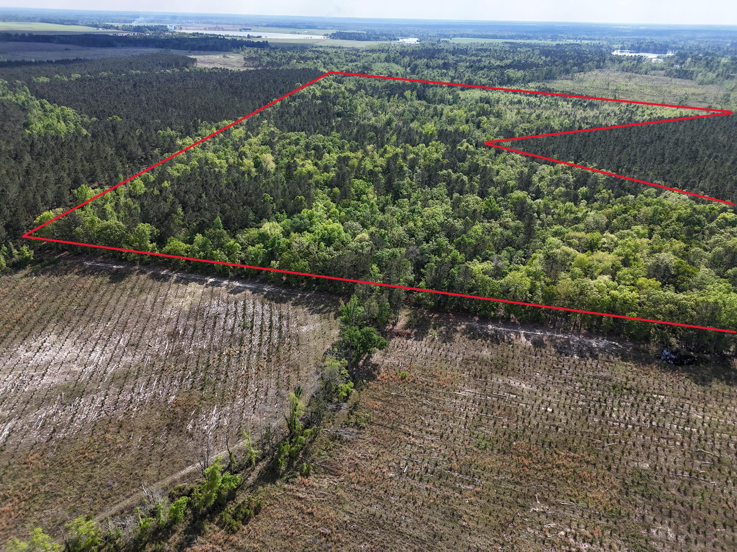 DJI_20250410043925_0019_D