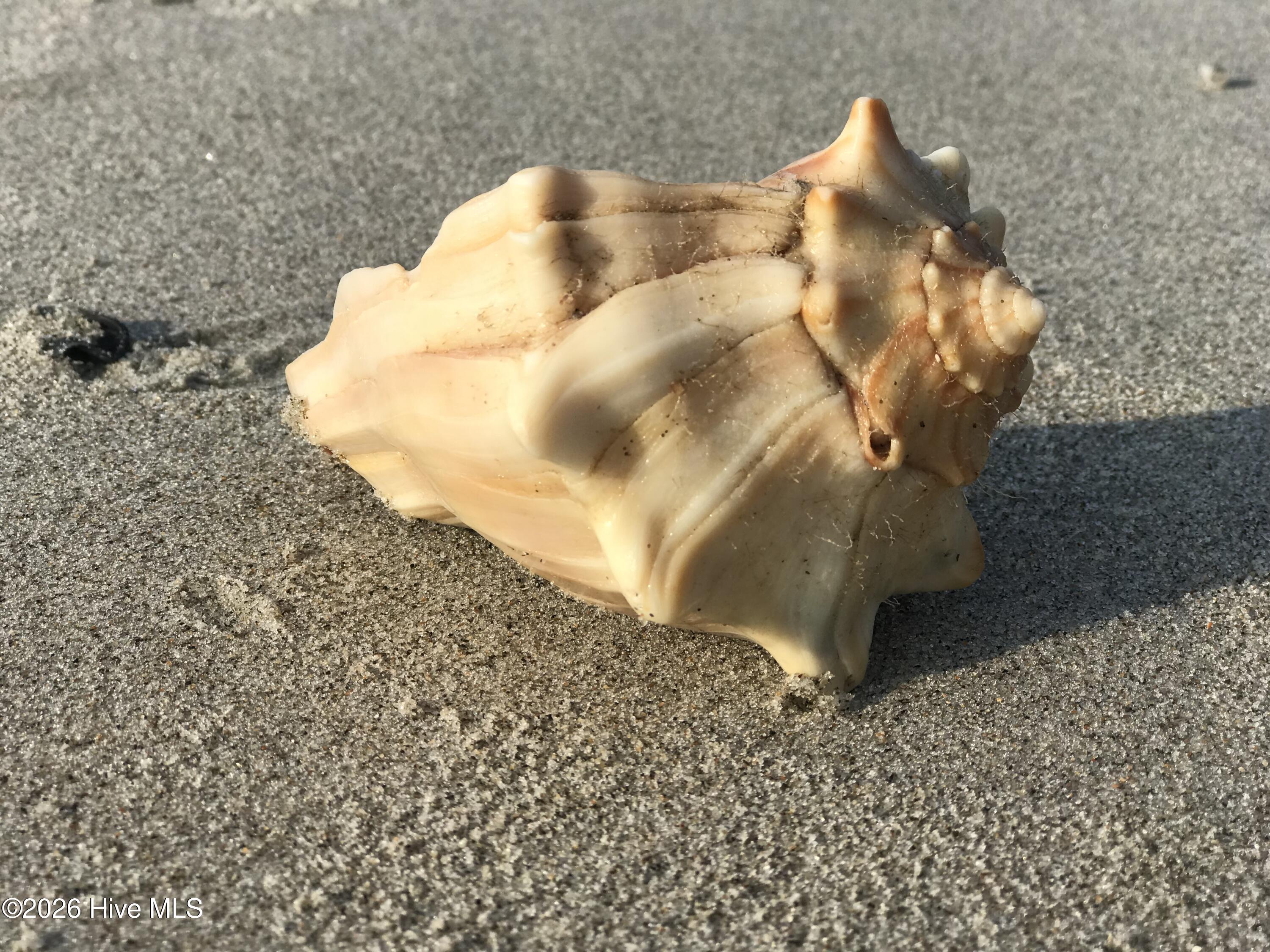 100558532 | Photo 72