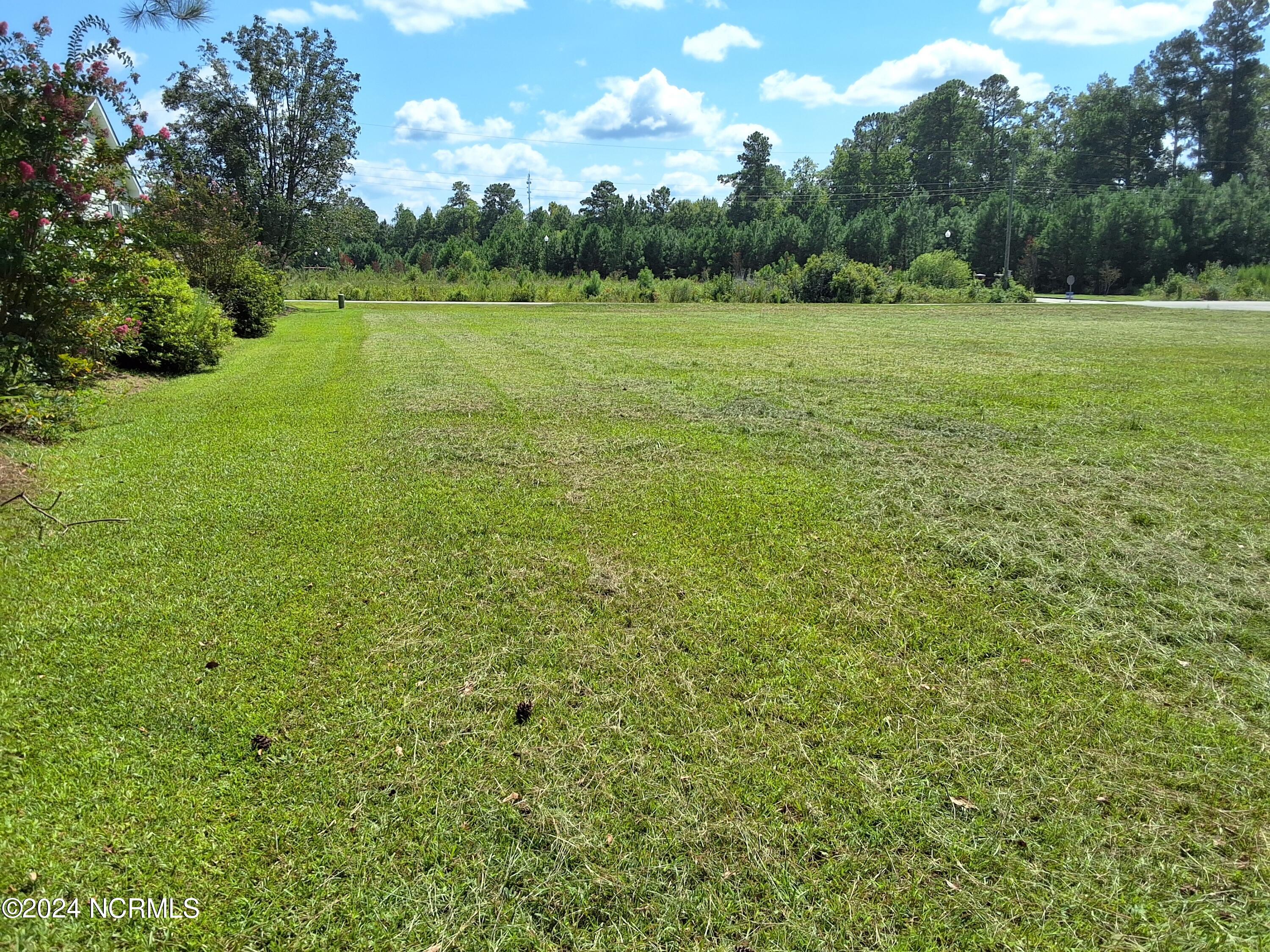 100463336 | Photo 58