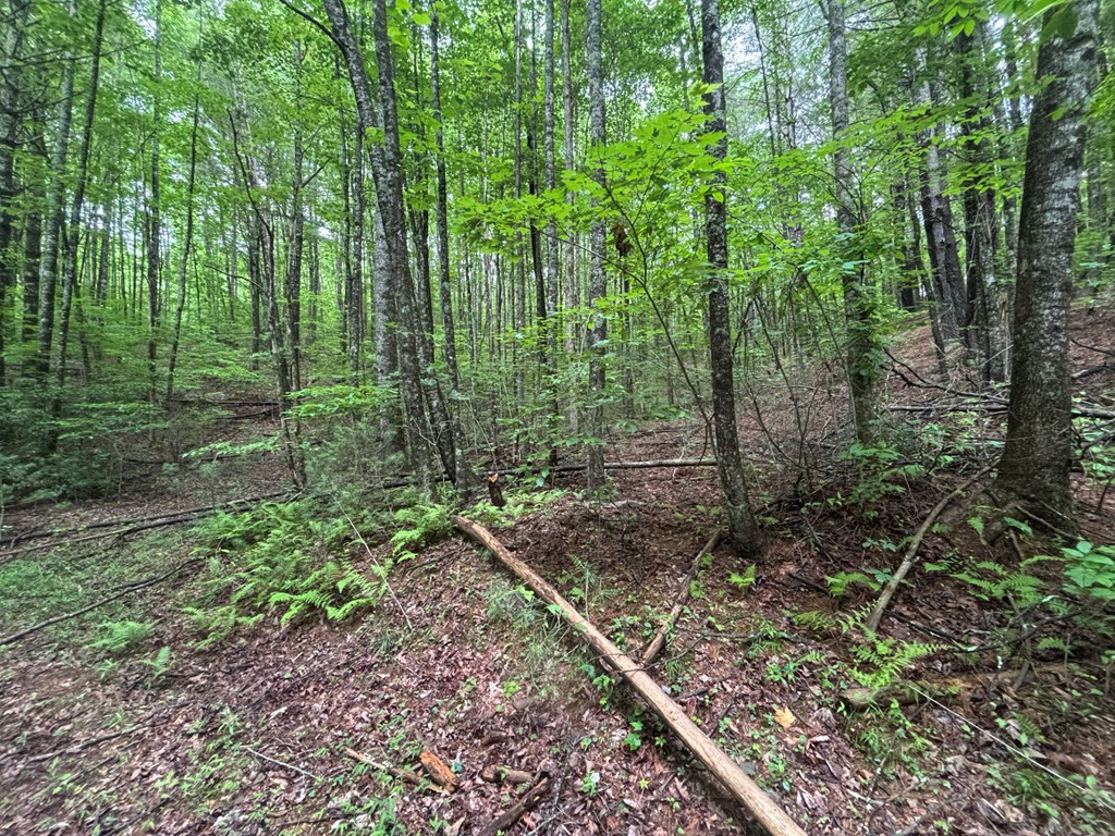 Exterior photo of Lot 7 Horse Camp Drive, Hayesville, NC 28904. MLS: 98544682