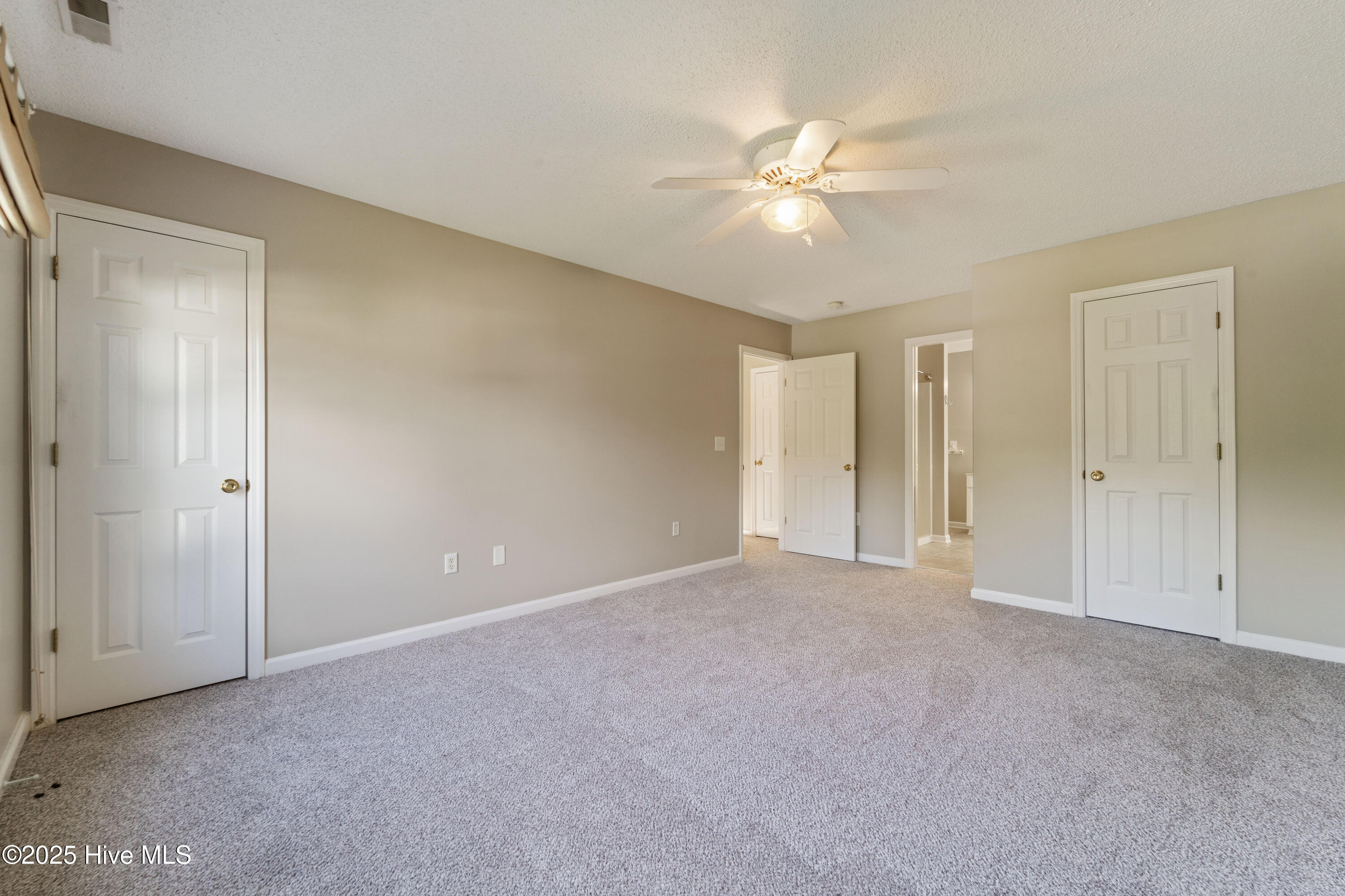 100559136 | Photo 11