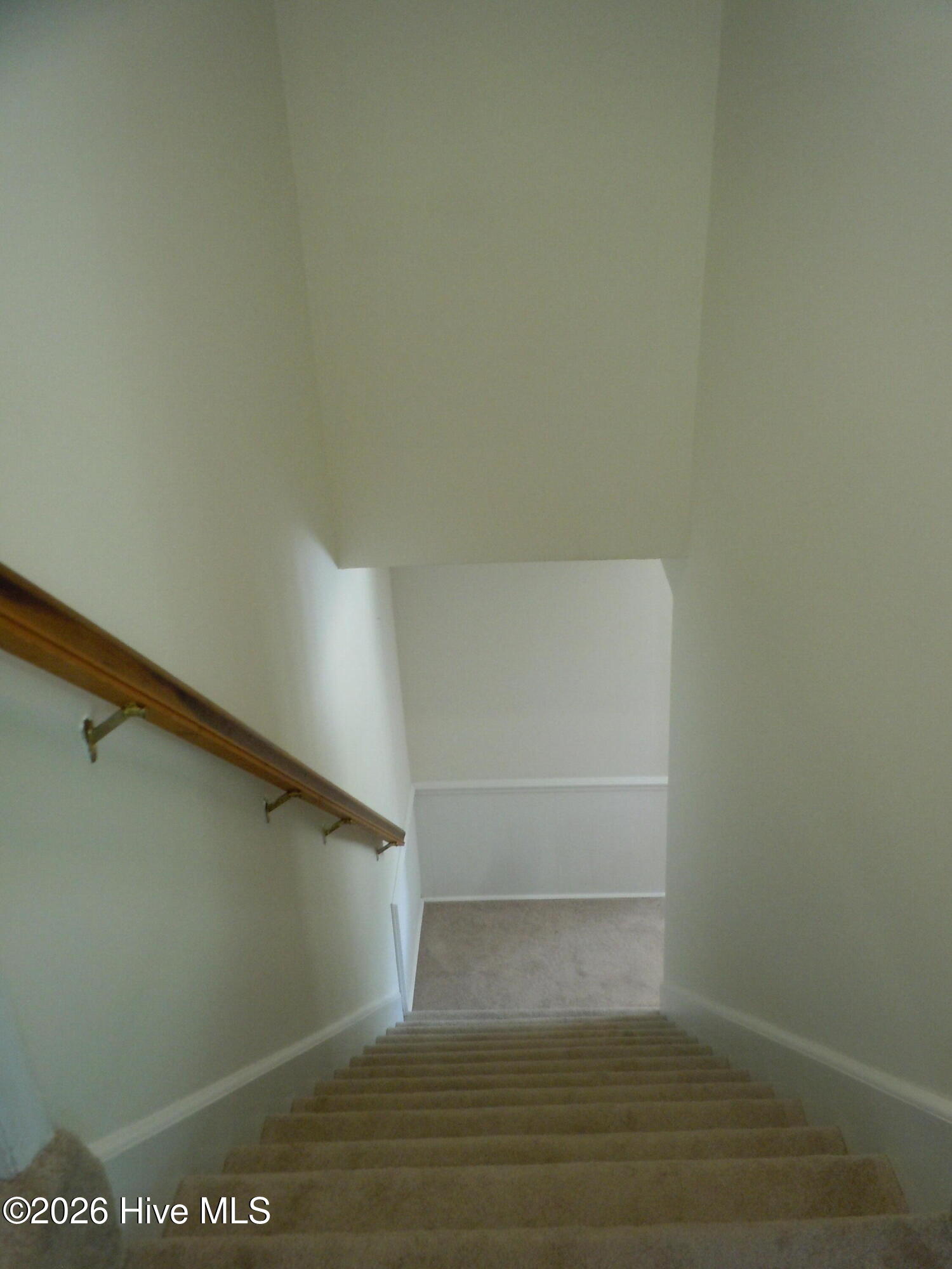 100565129 | Photo 54