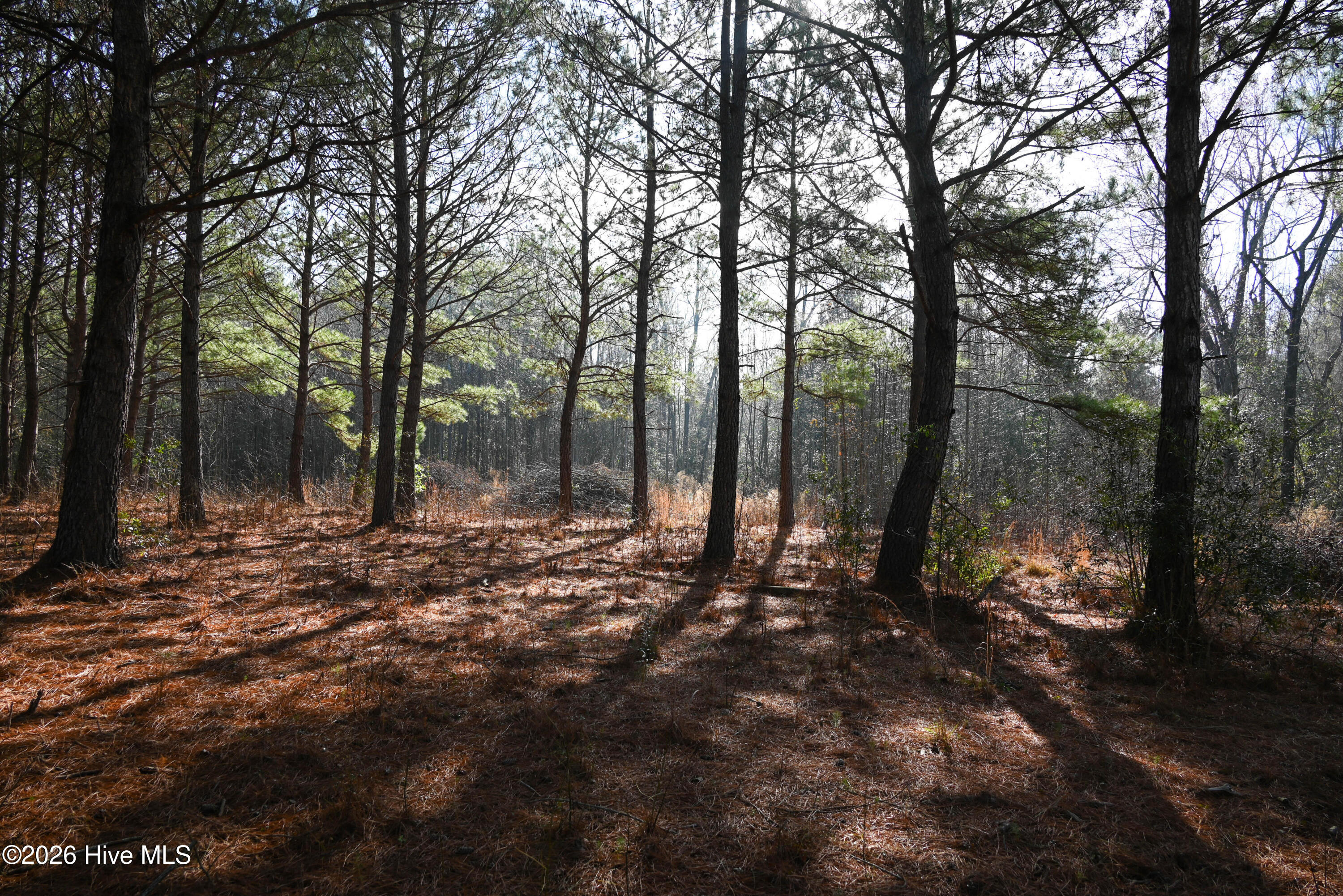 100560038 | Photo 18