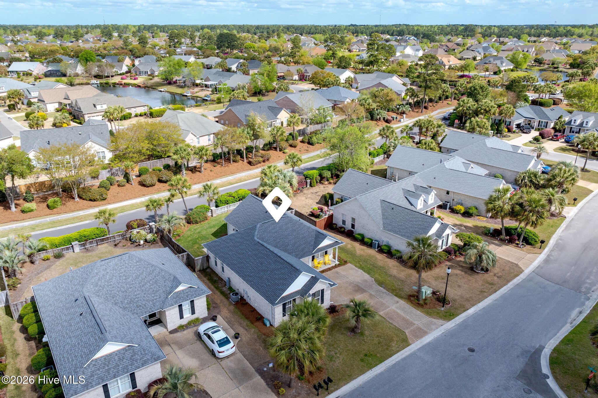 100564591 | Photo 33