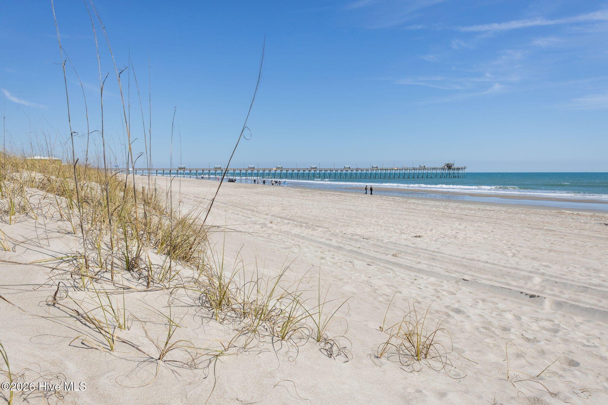 100560705 | Photo 22