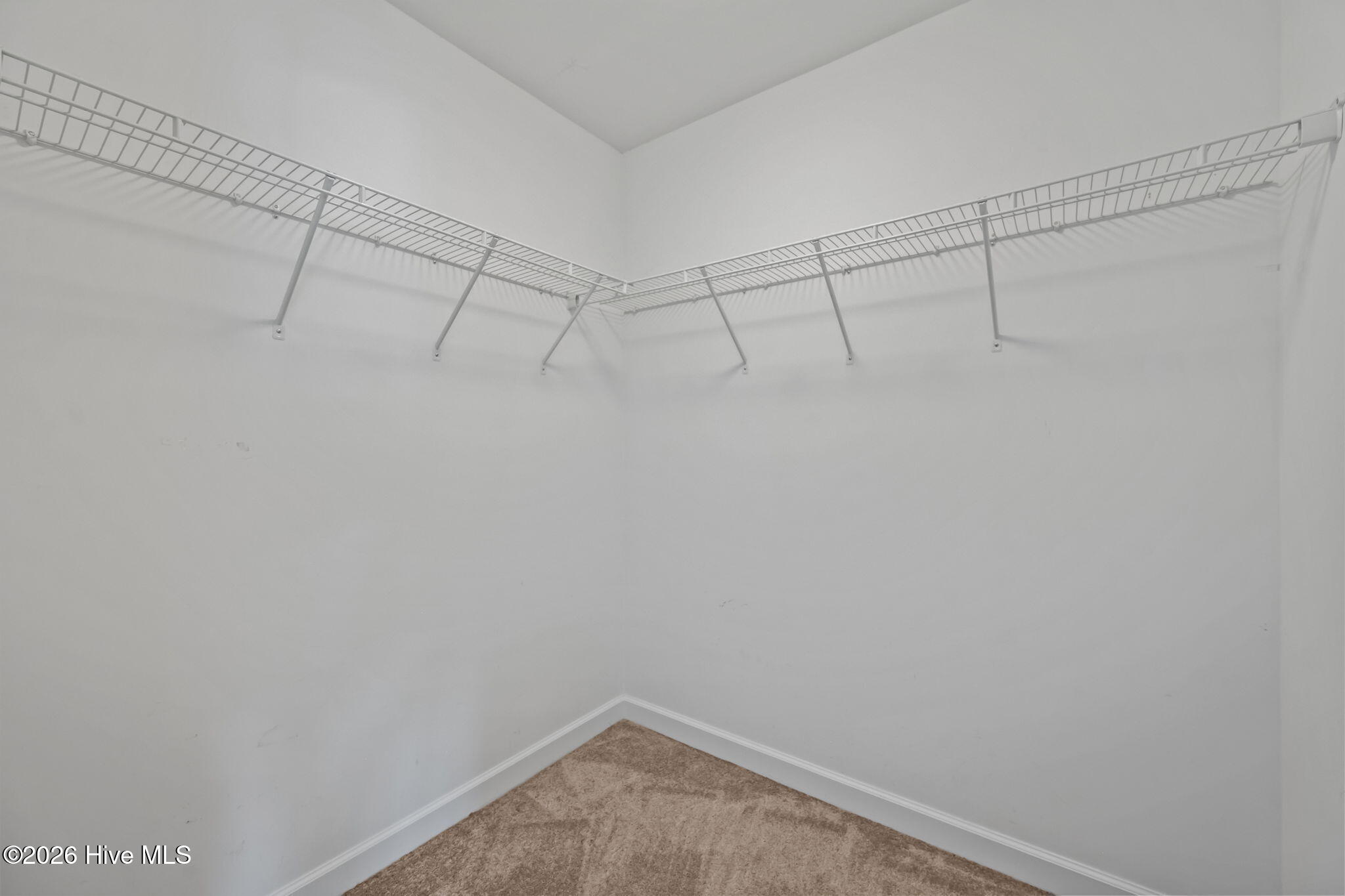 100570344 | Photo 27