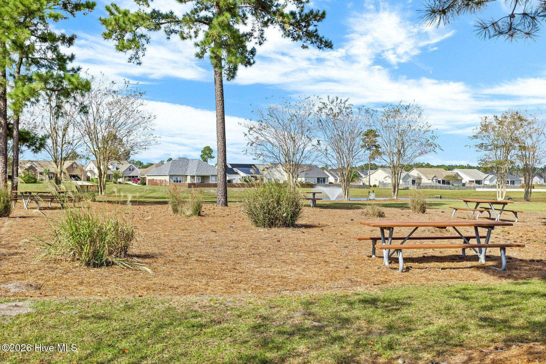 100557697 | Photo 27