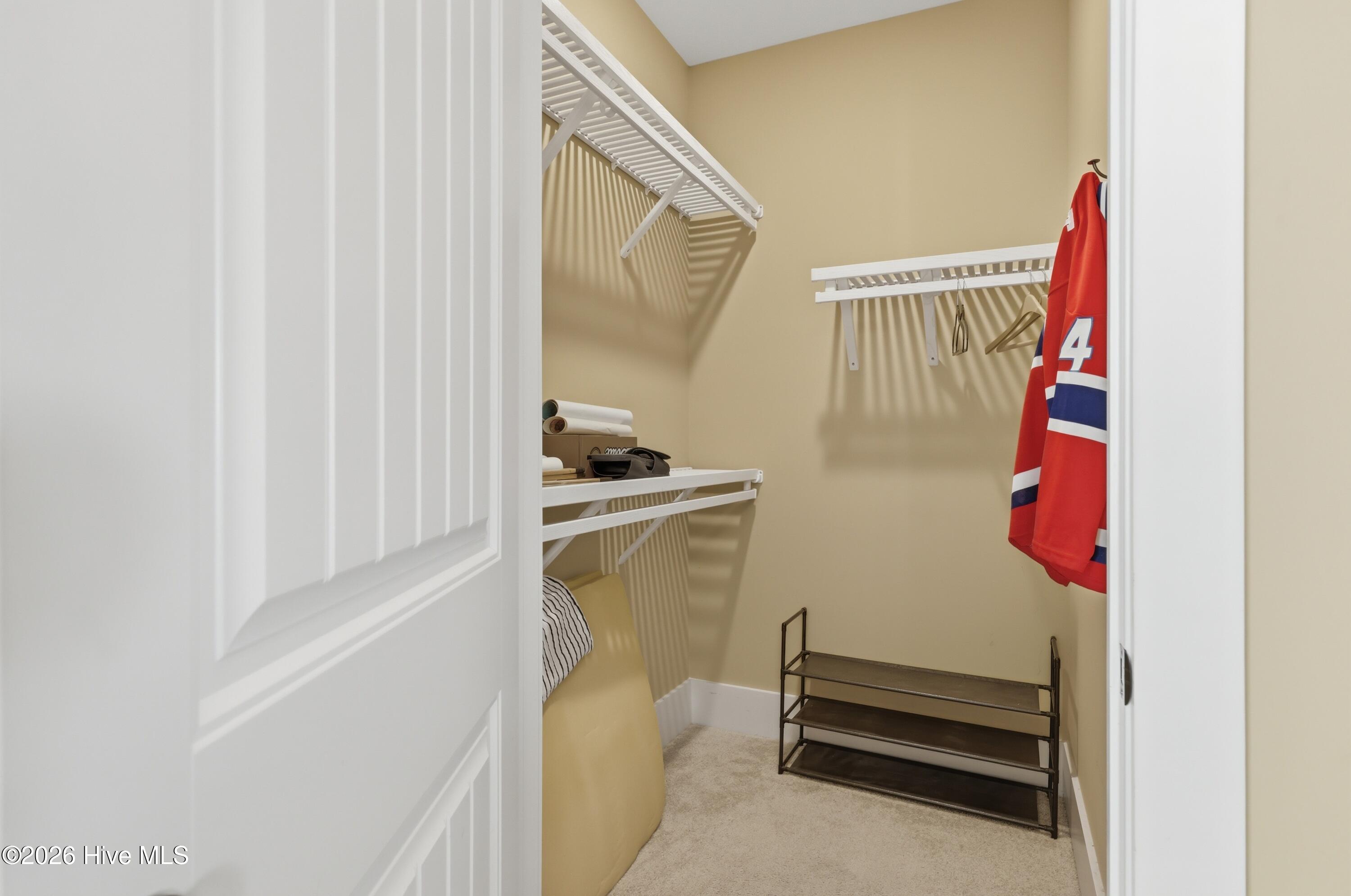 100566755 | Photo 34