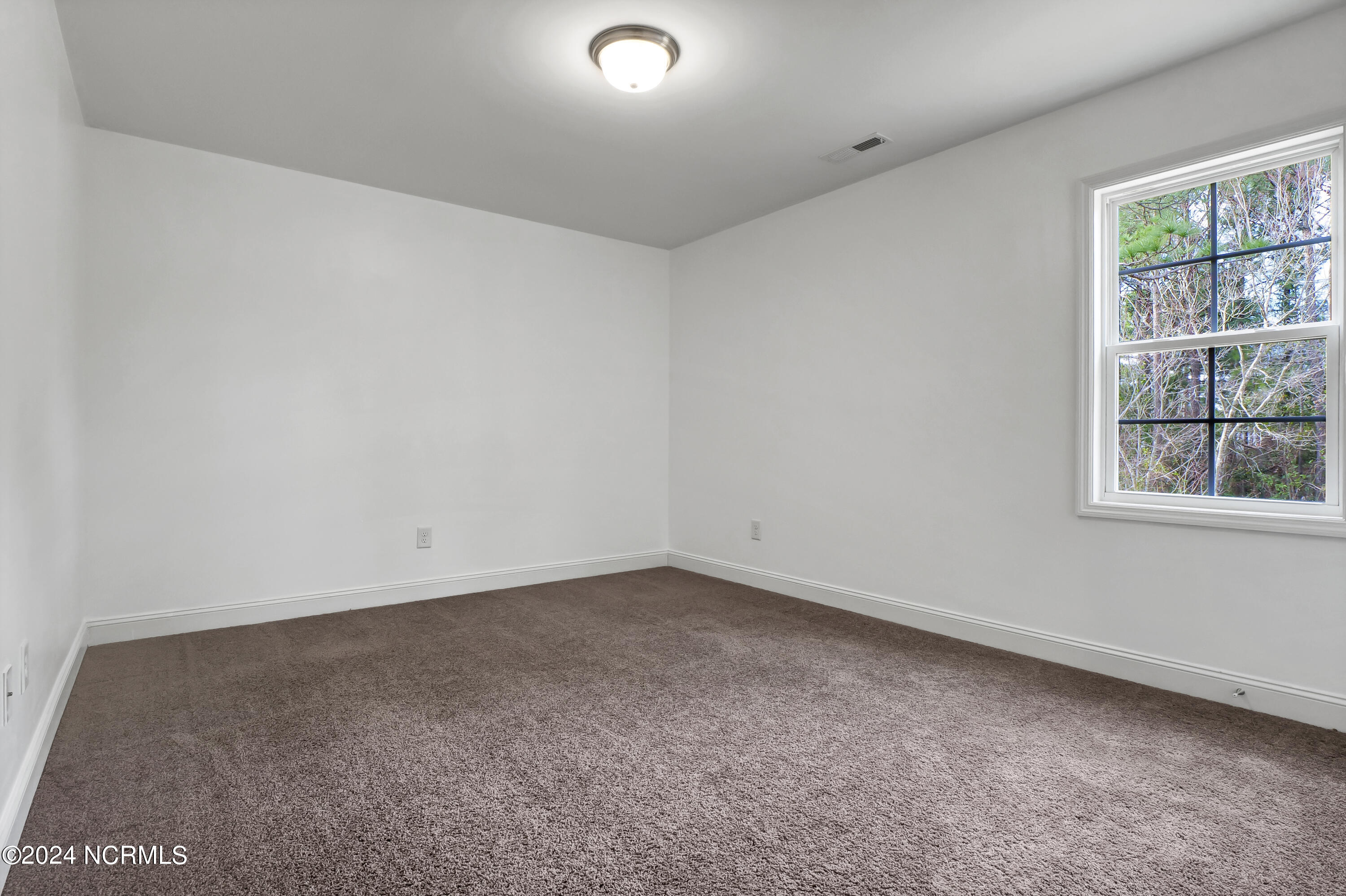 100552526 | Photo 19