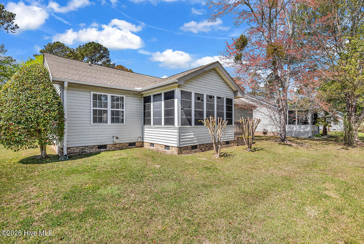 100563985 | Photo 24