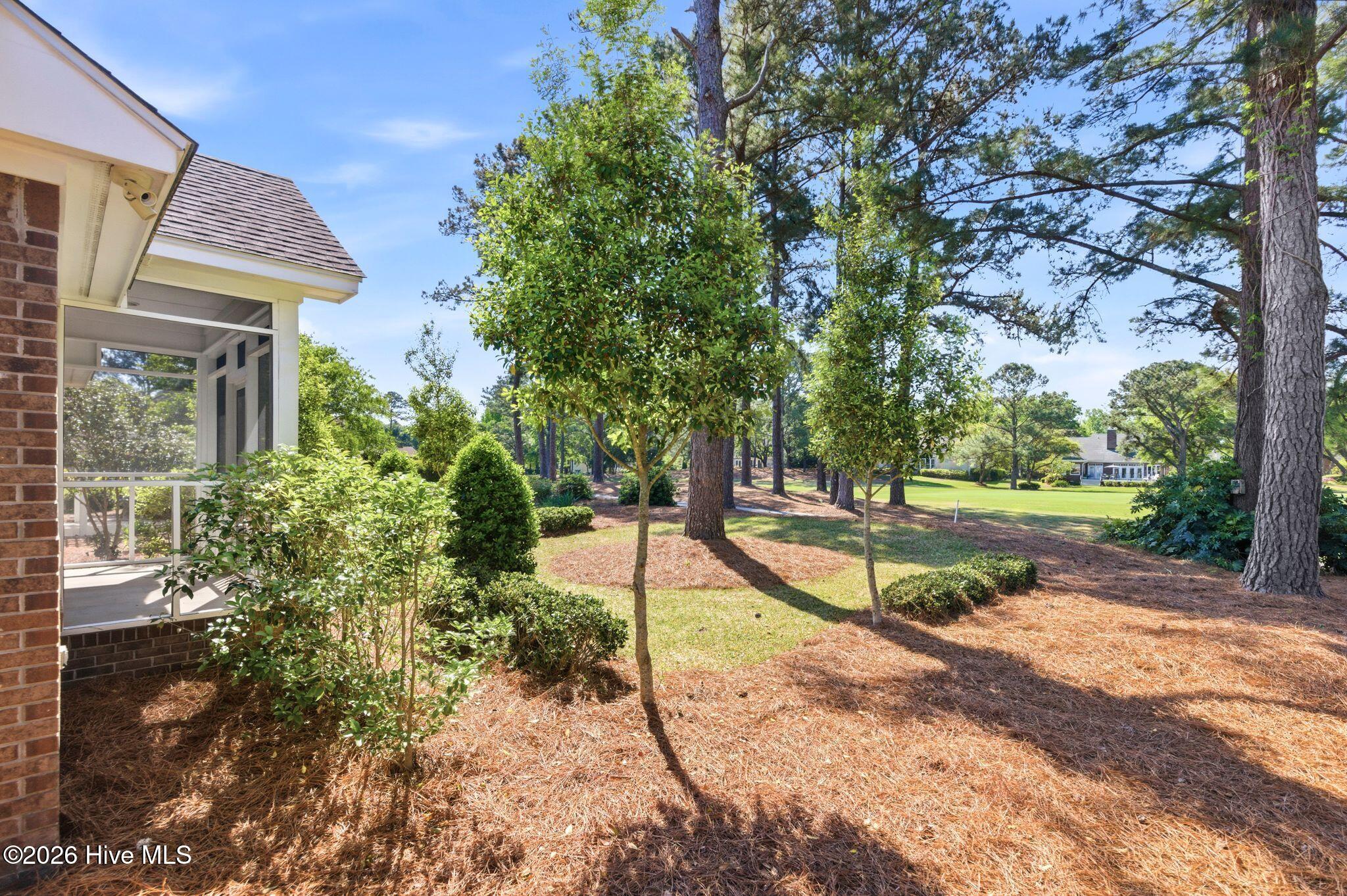 100567586 | Photo 39