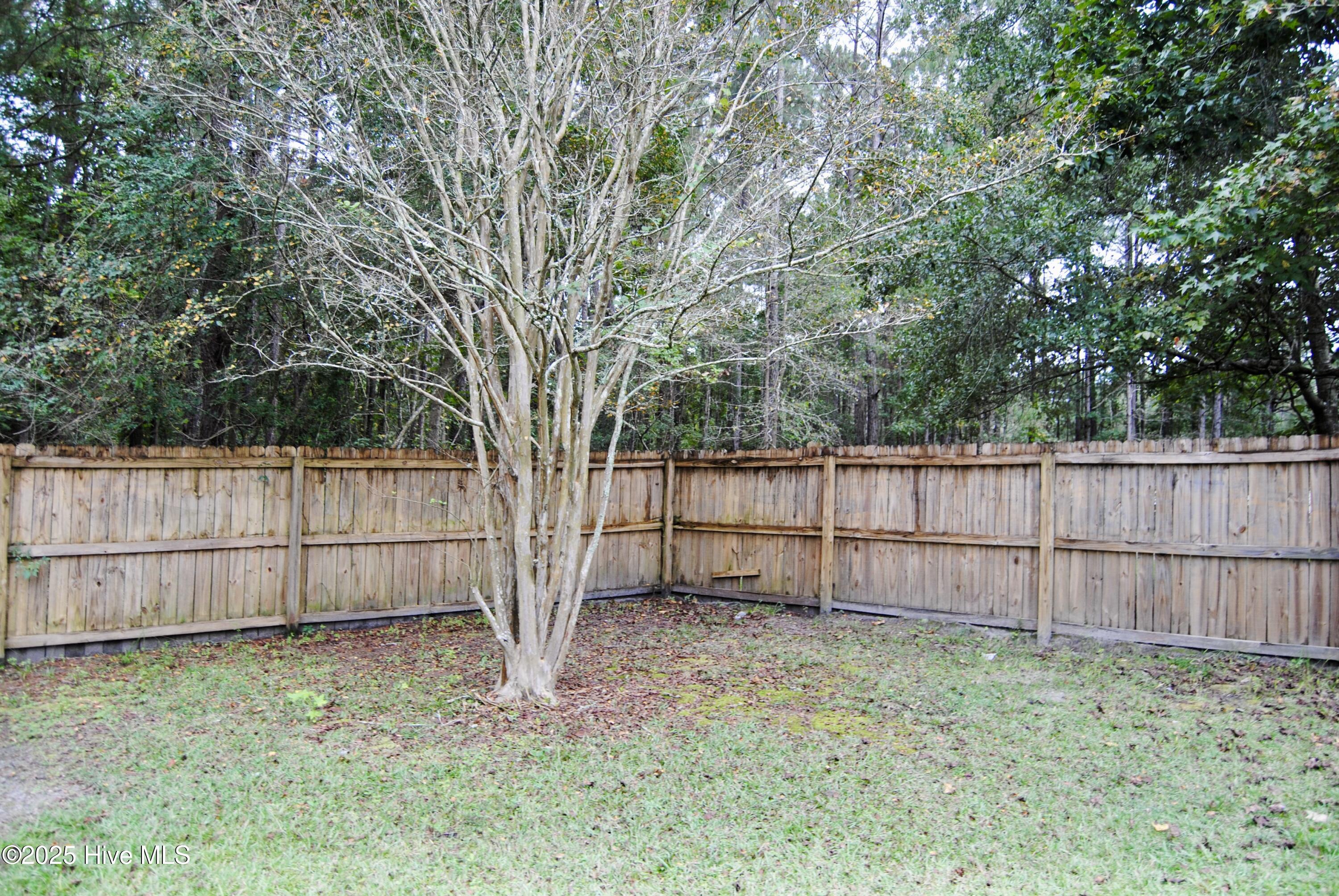 100533223 | Photo 10