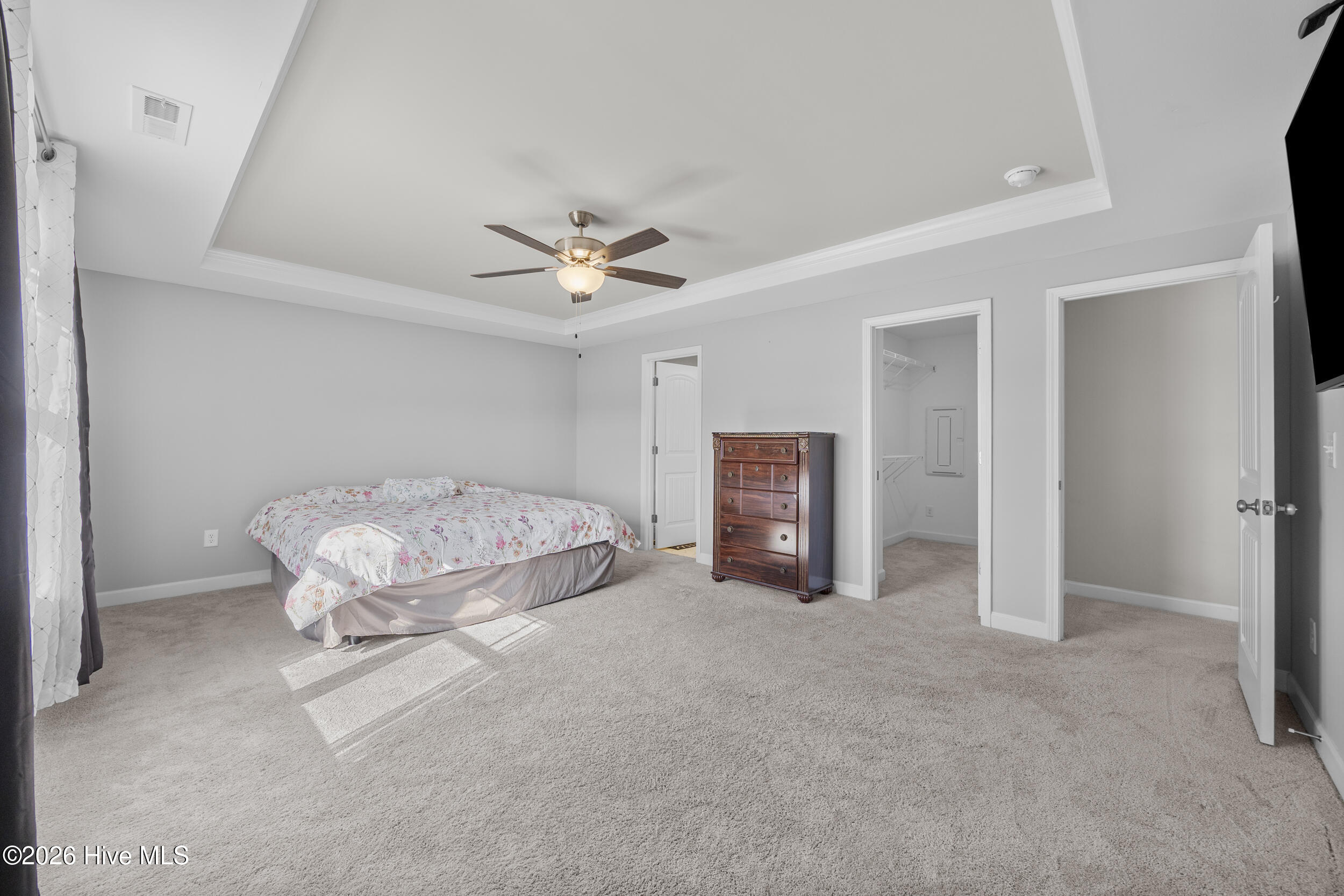 100569067 | Photo 14