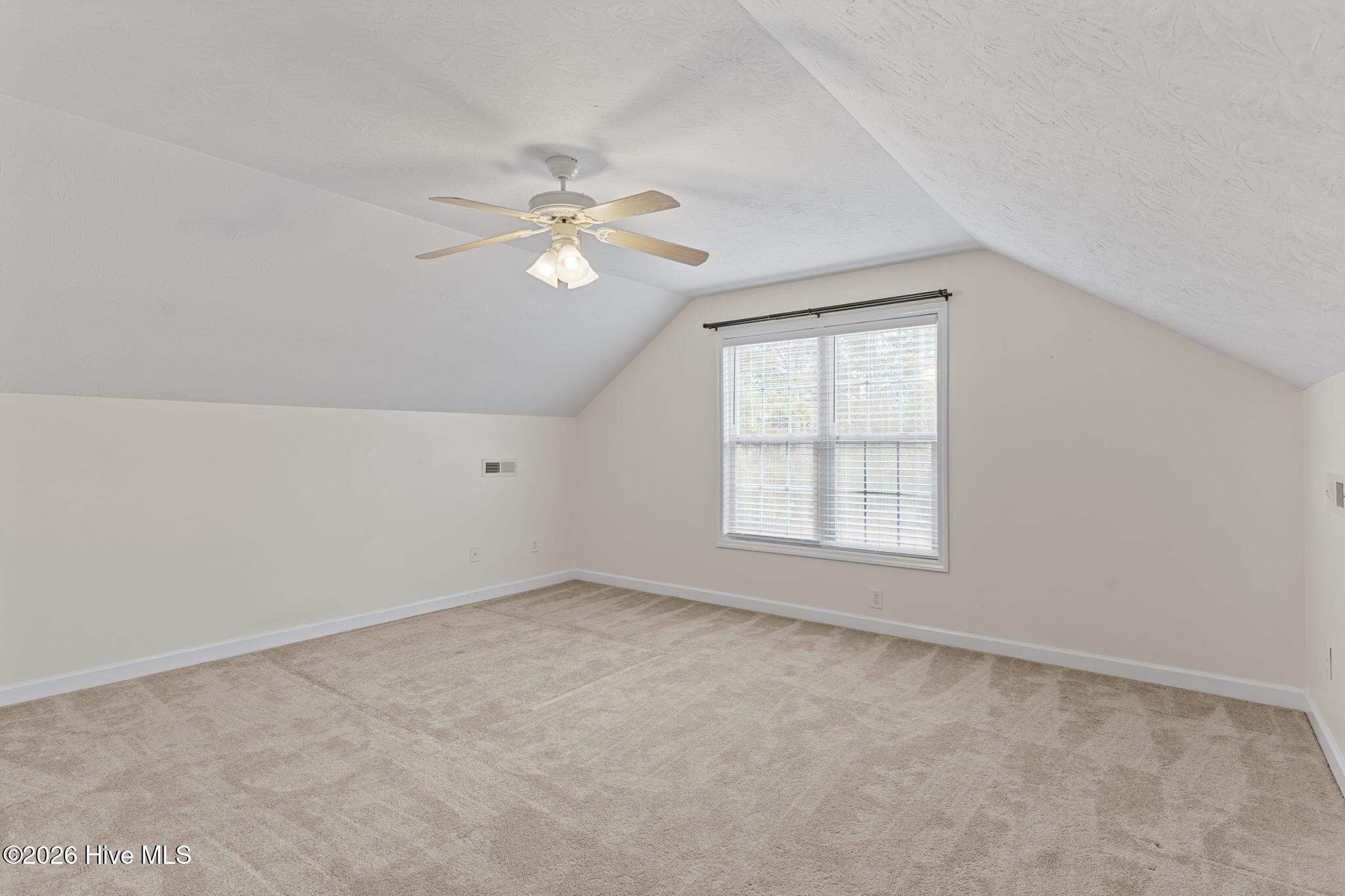 100563070 | Photo 35