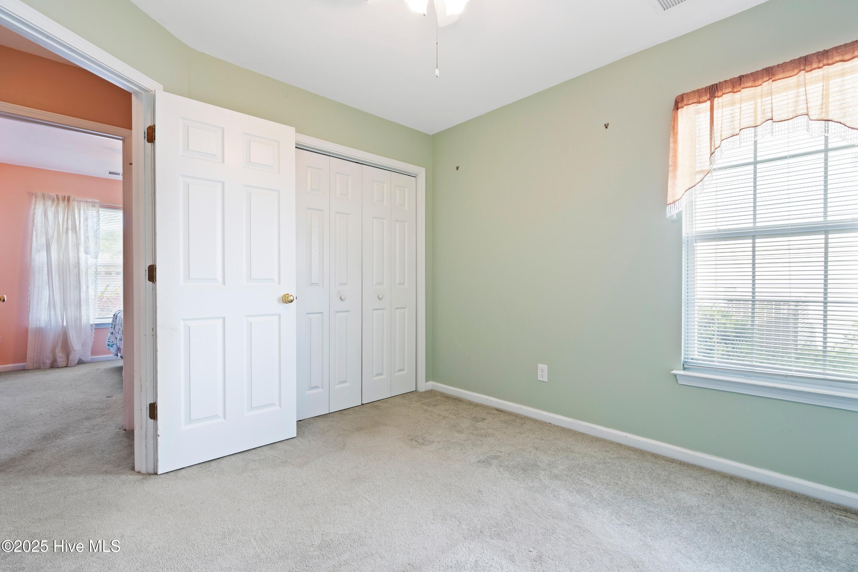 100509496 | Photo 19