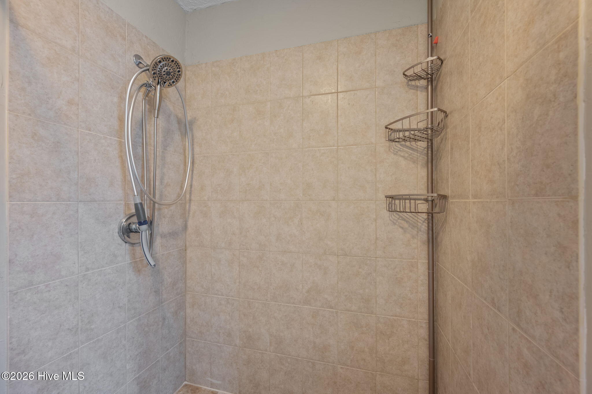 100548393 | Photo 33