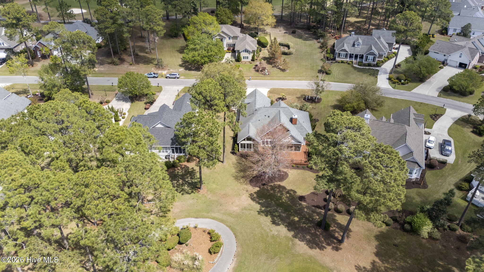 100563951 | Photo 54