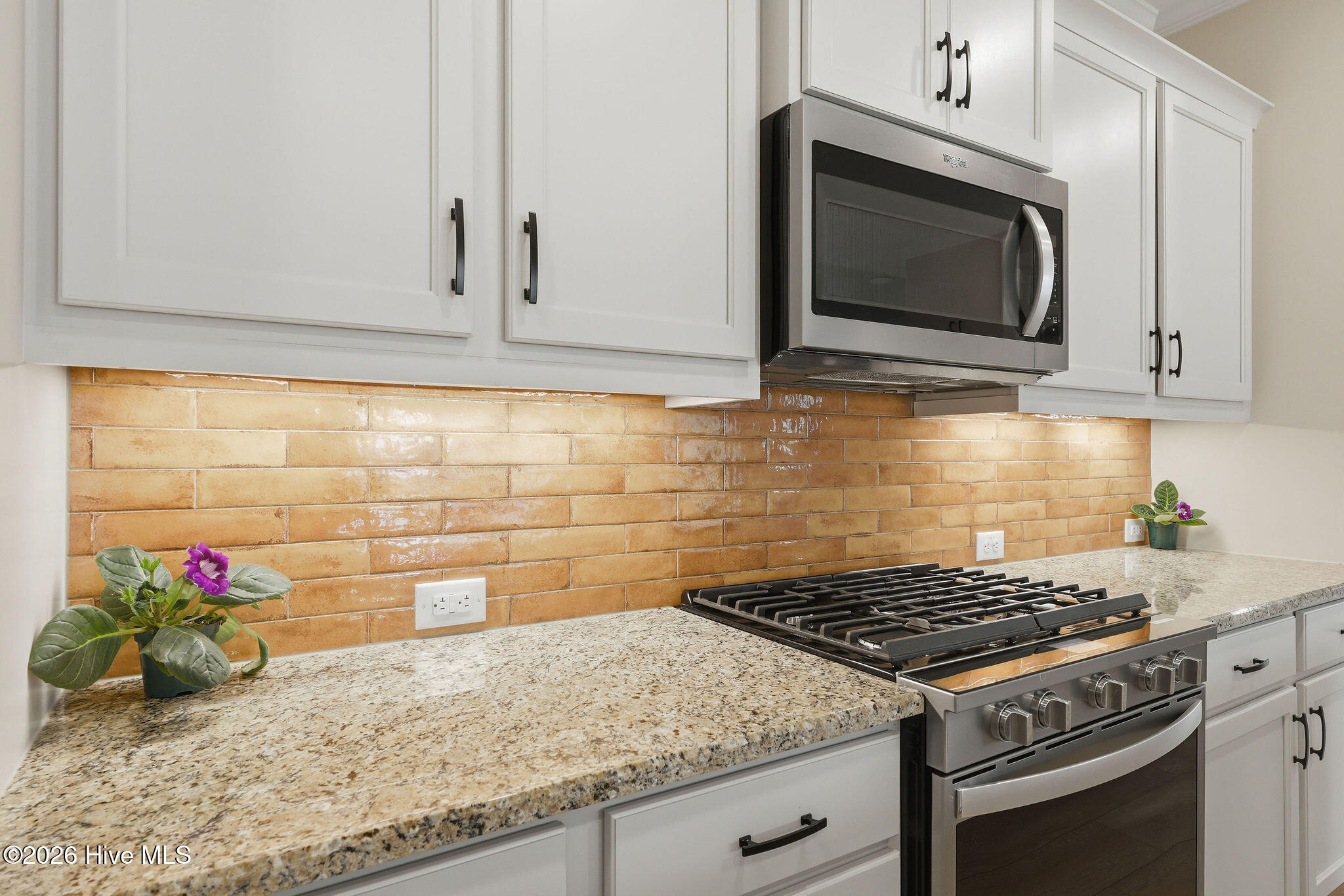 100568538 | Photo 11