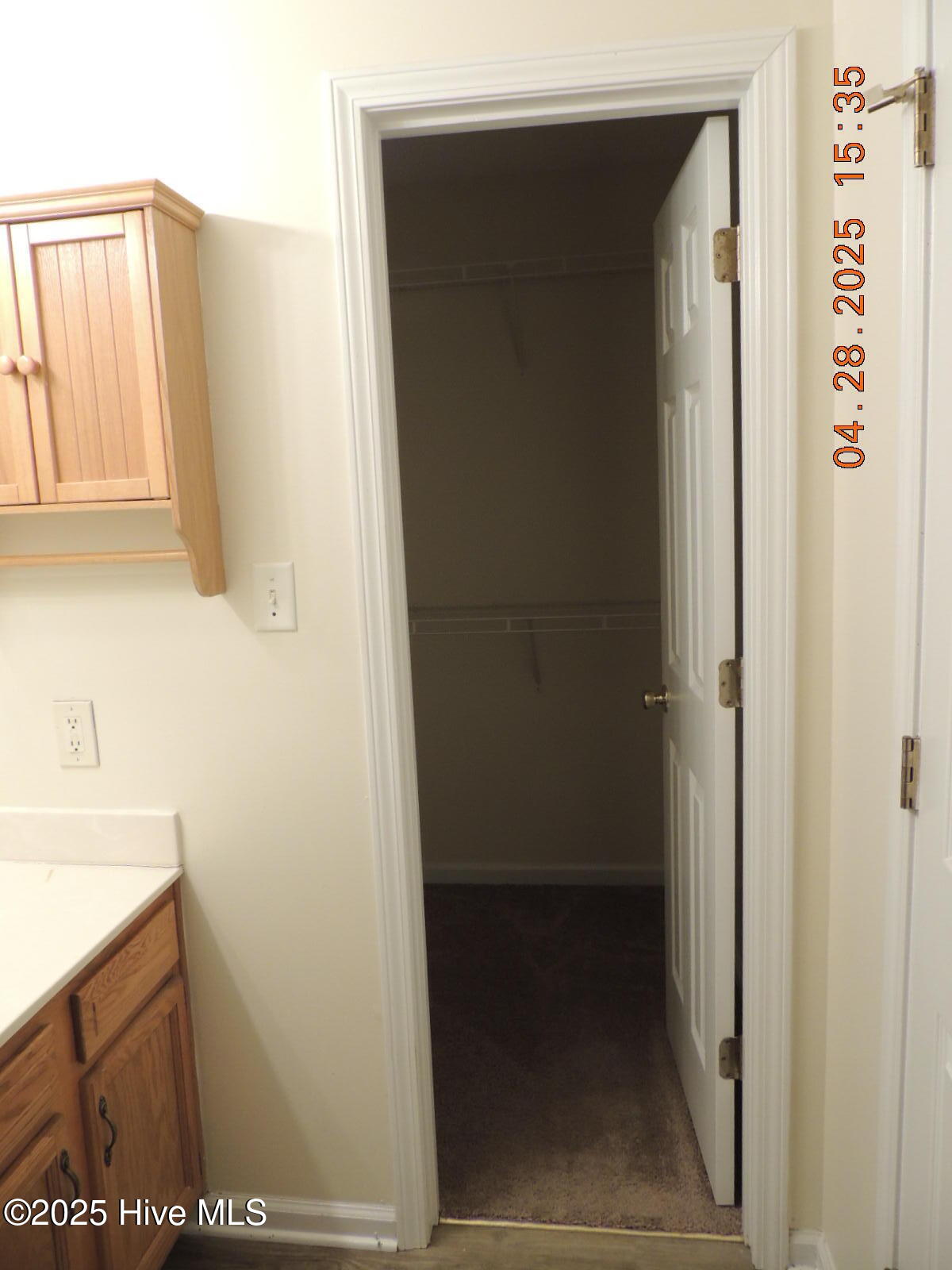 100565687 | Photo 11