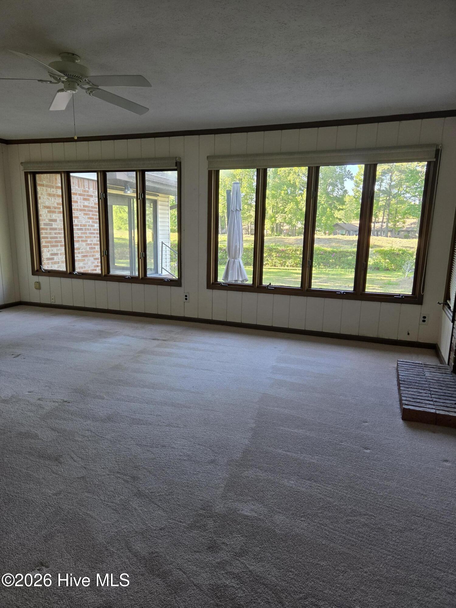 100568652 | Photo 13