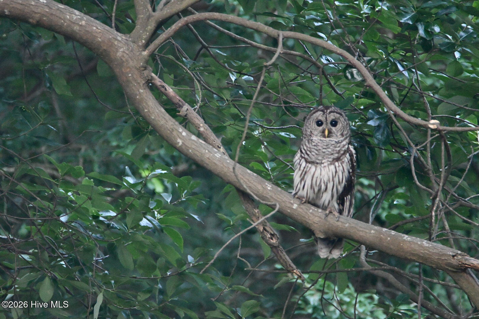 108 Farmington Road, Grimesland, NC, 27837