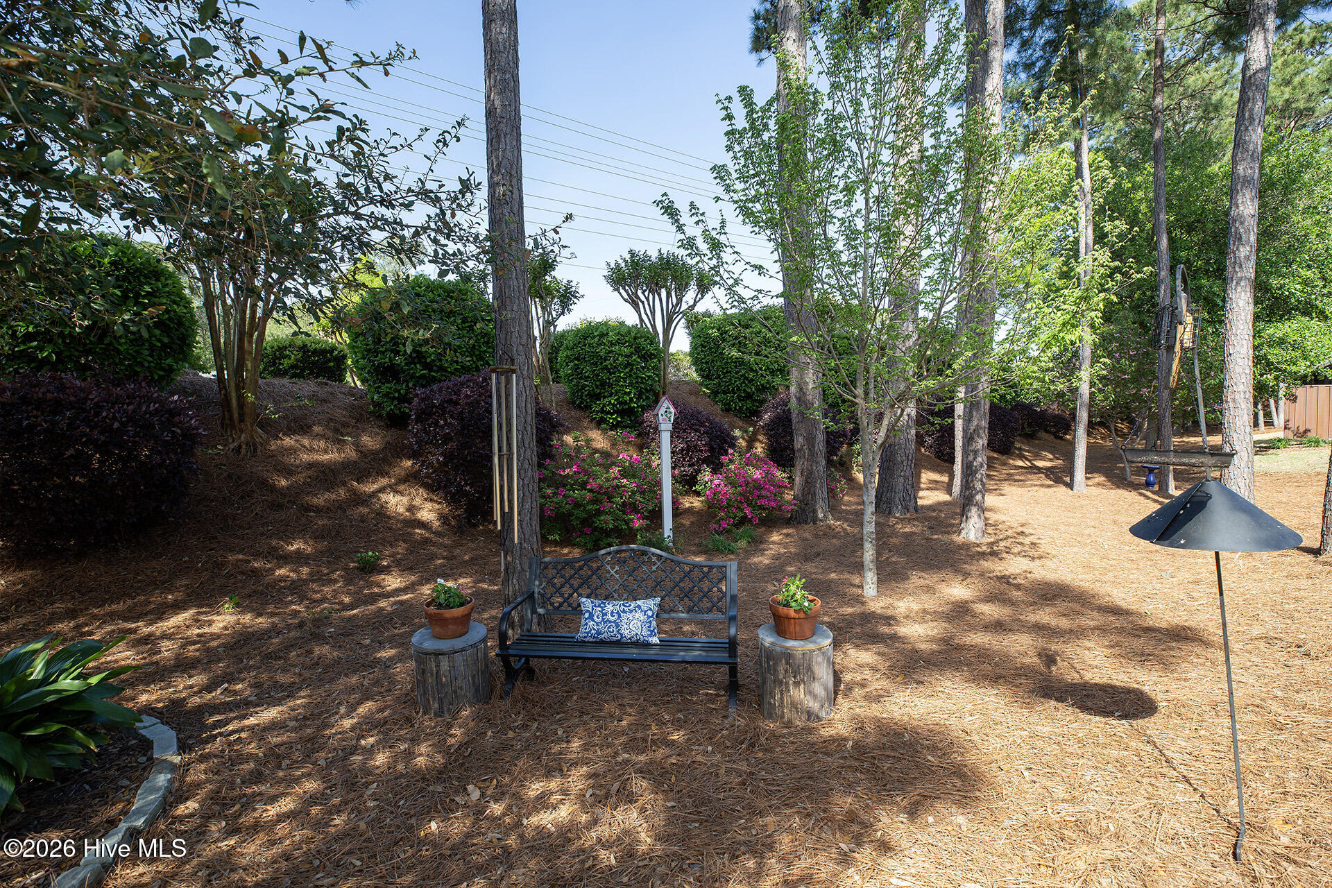 100567107 | Photo 41