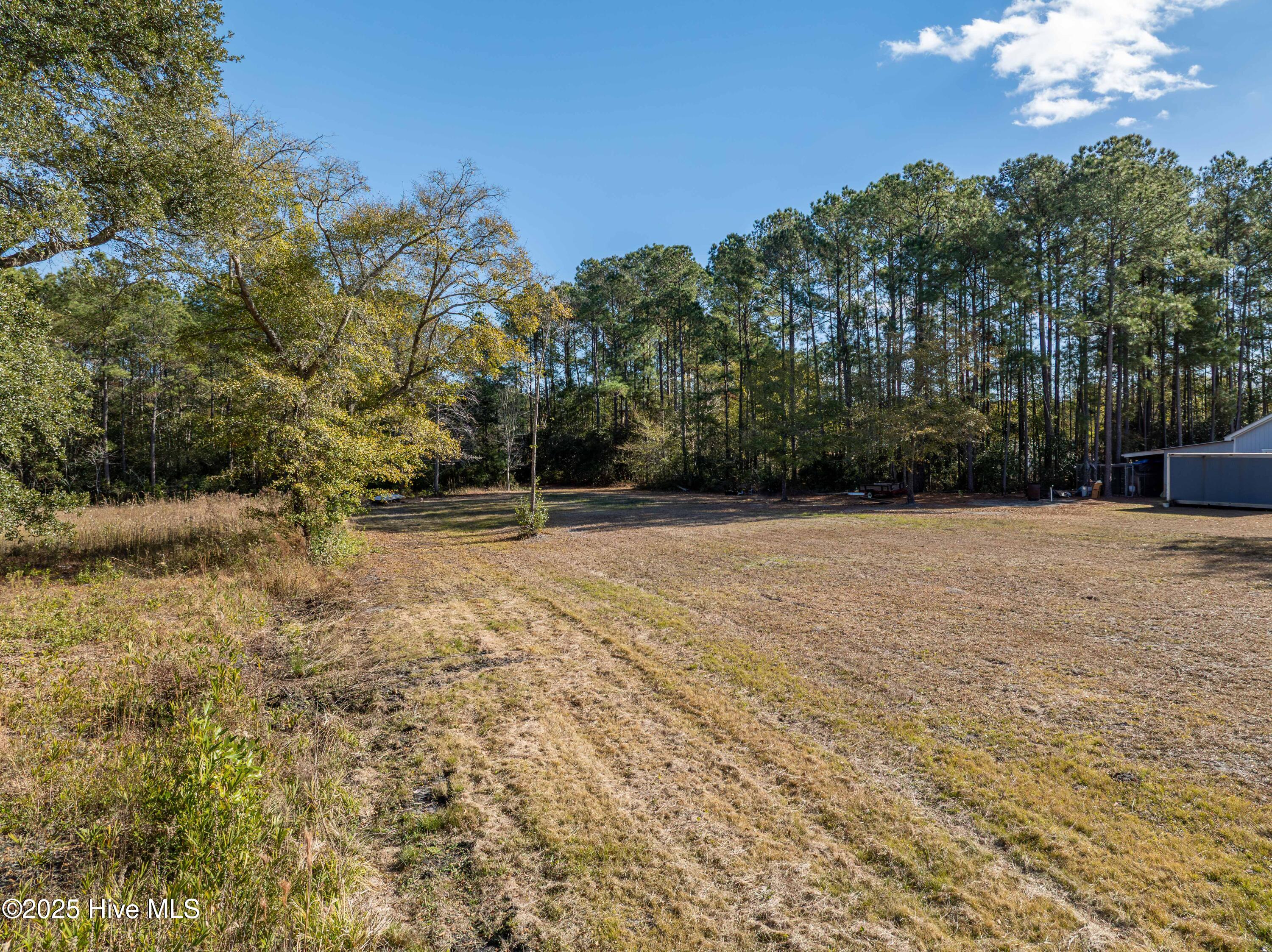 100545441 | Photo 12