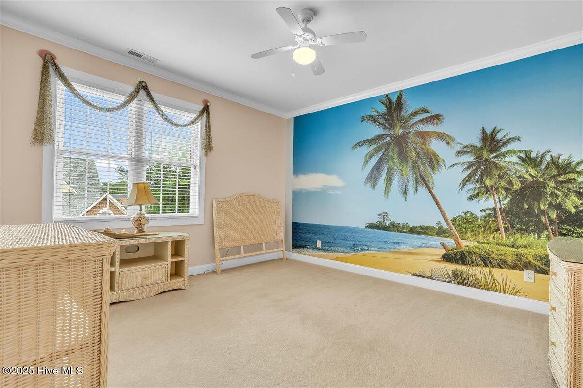 100534566 | Photo 64