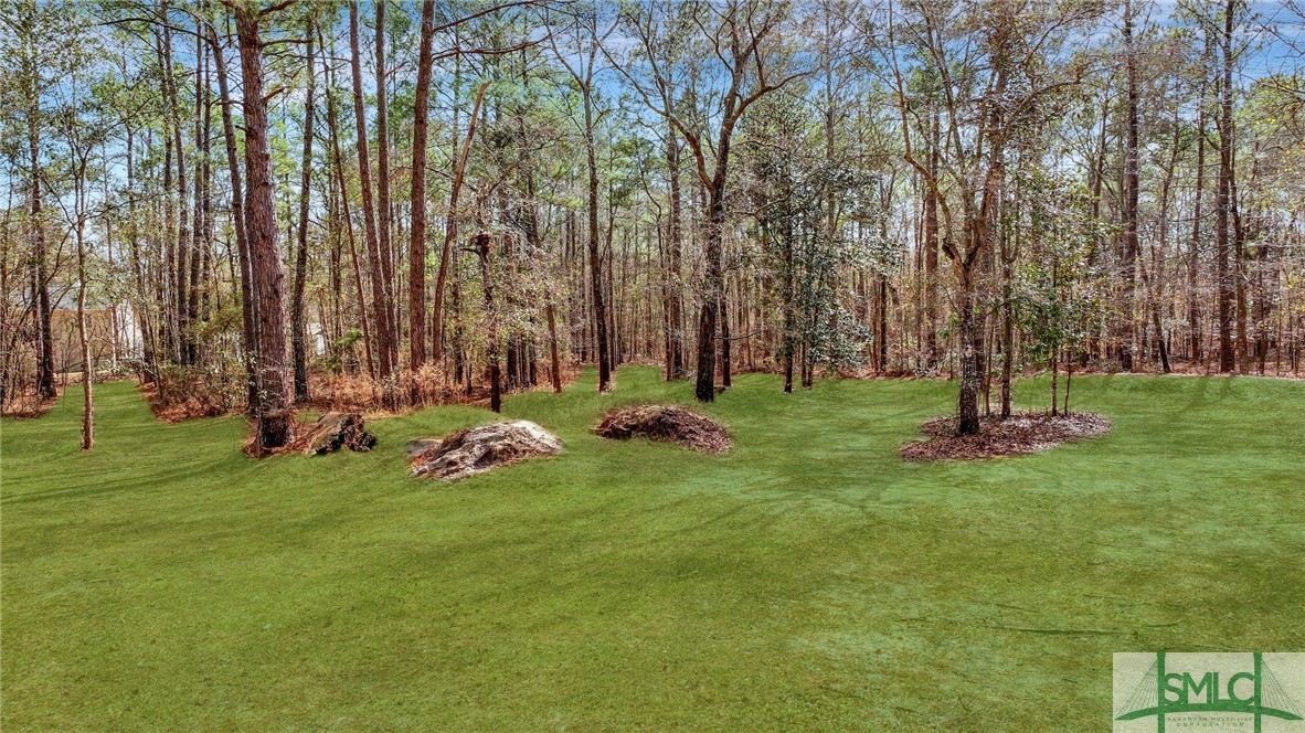 430 Squirrel Run, Rincon, GA 31326 Listing Photo  45