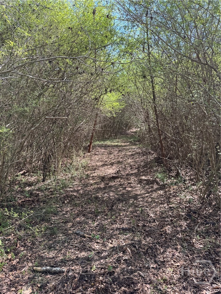 738 Old Mineral Springs Road, Elberton, GA, 30635