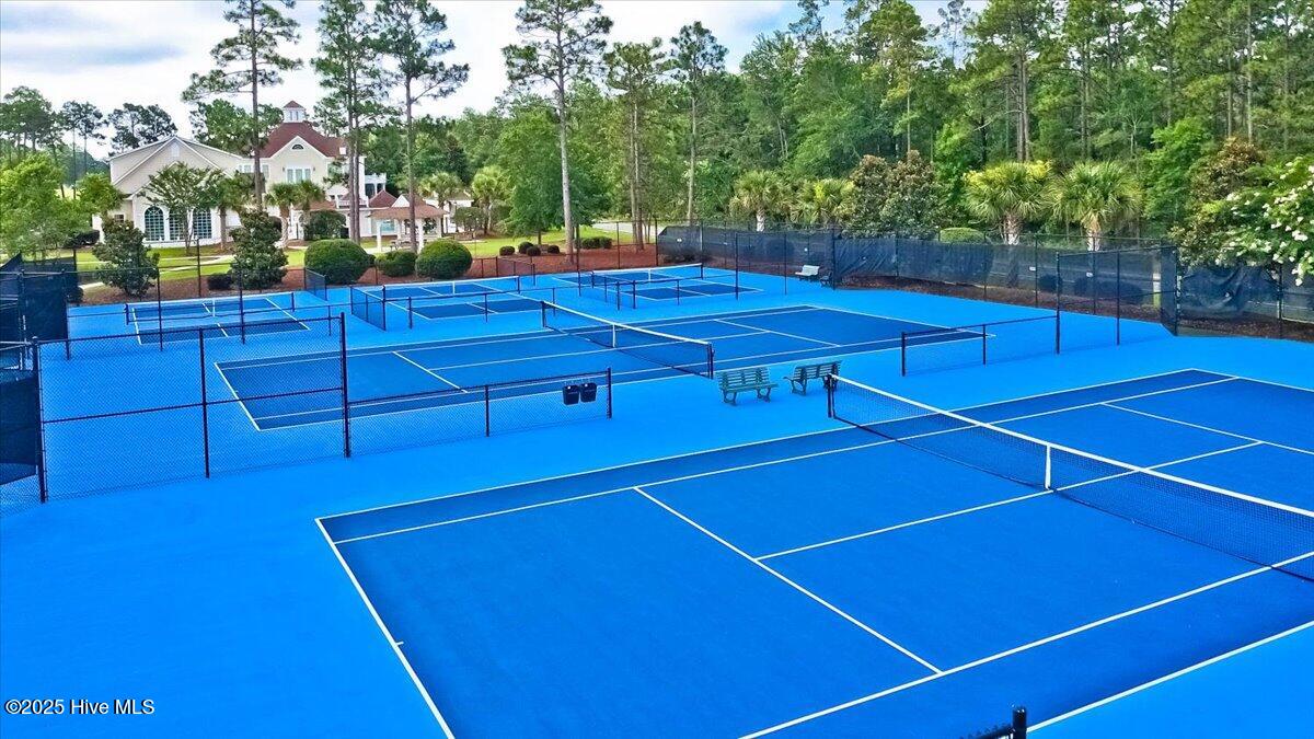 100534230 | Photo 53