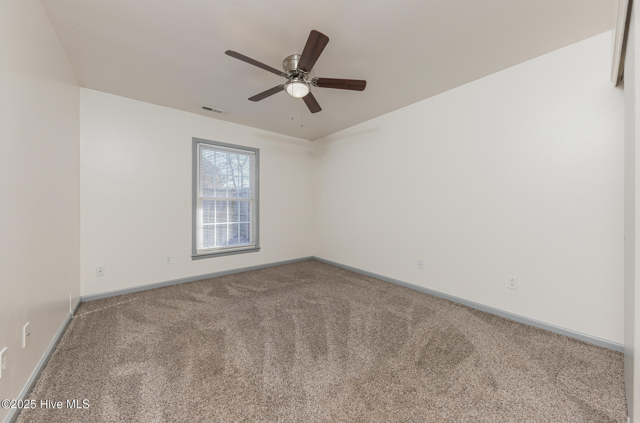 100546793 | Photo 24