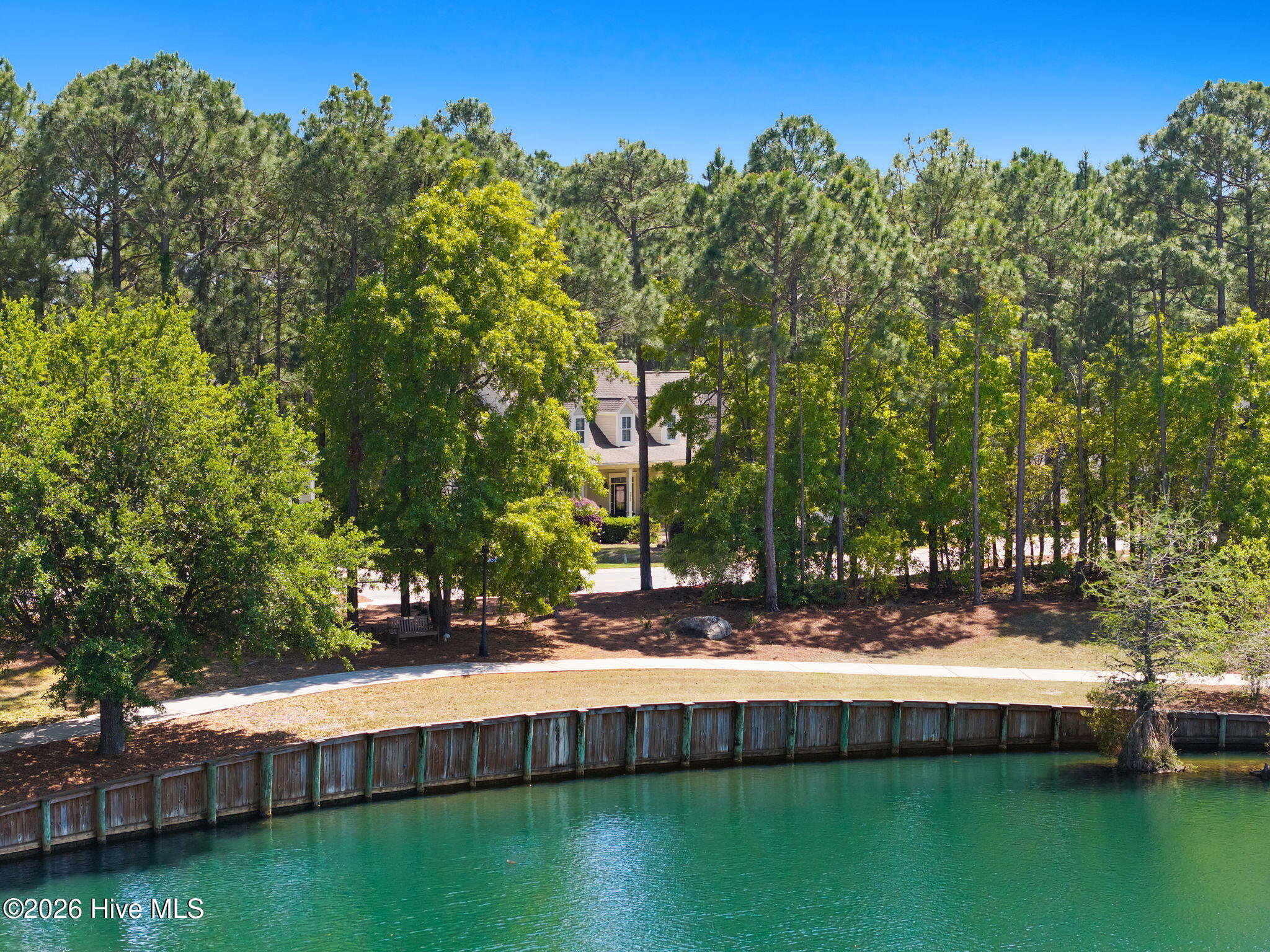 100567899 | Photo 18