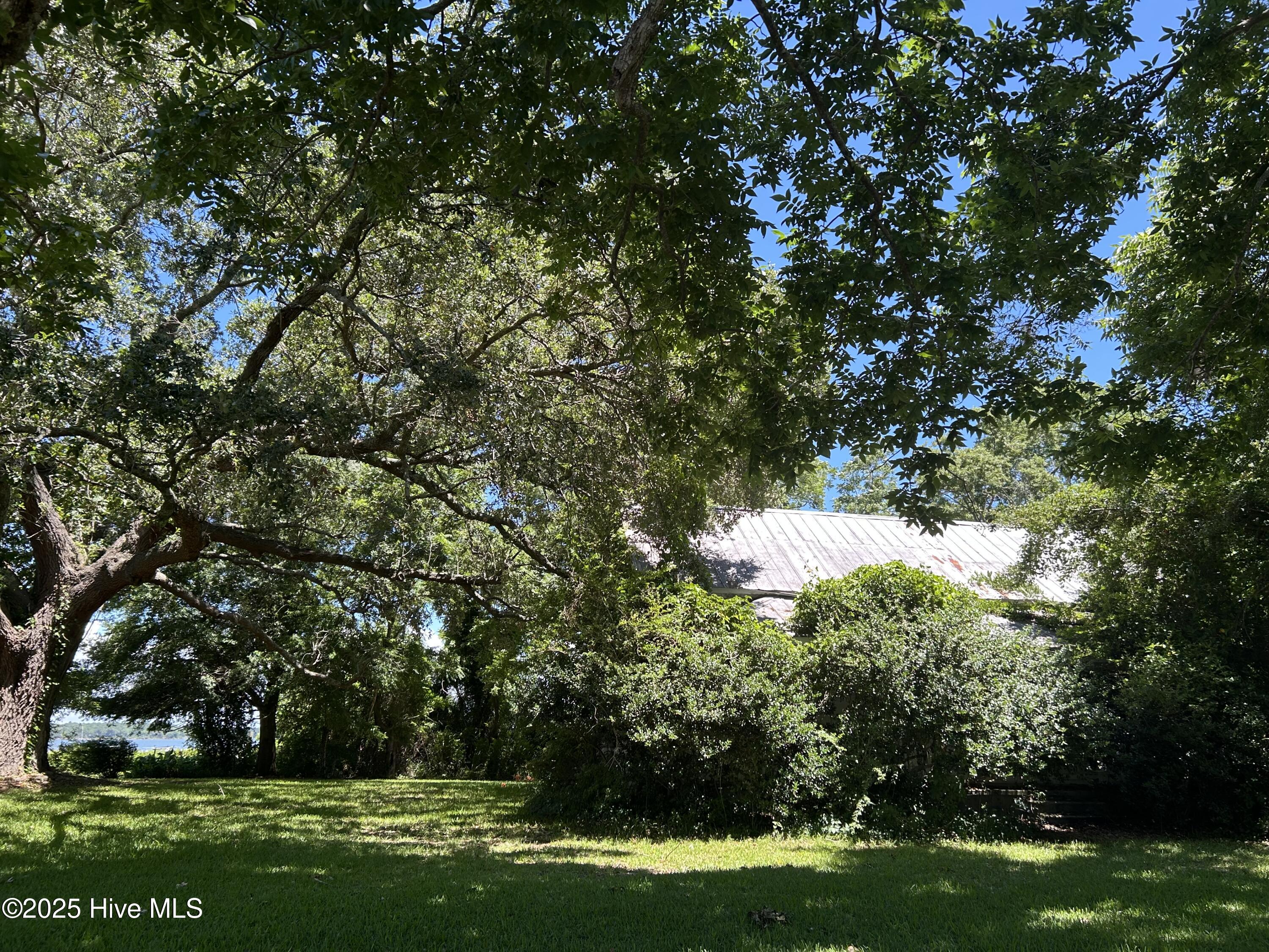 100517737 | Photo 10