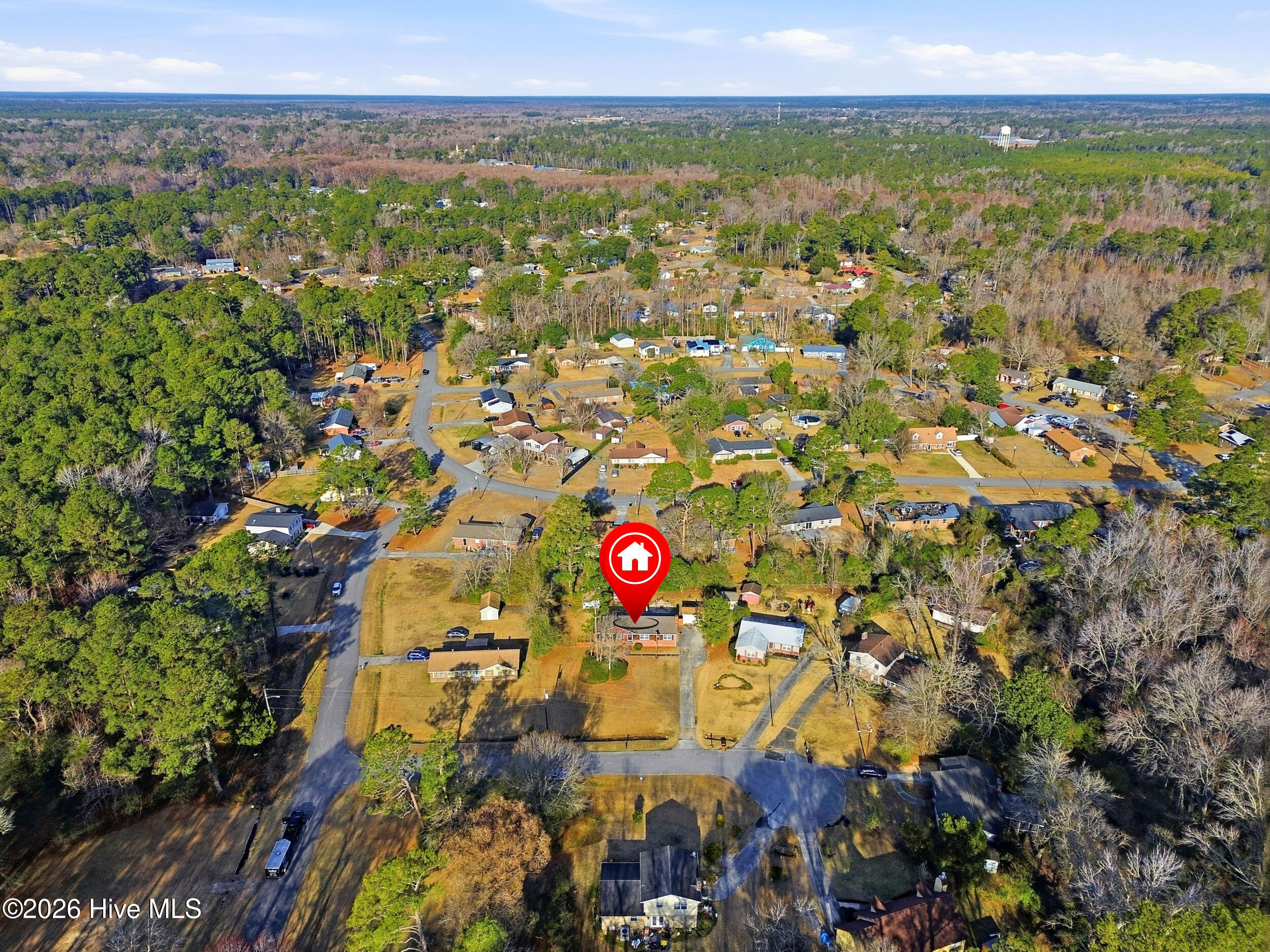 100551397 | Photo 31